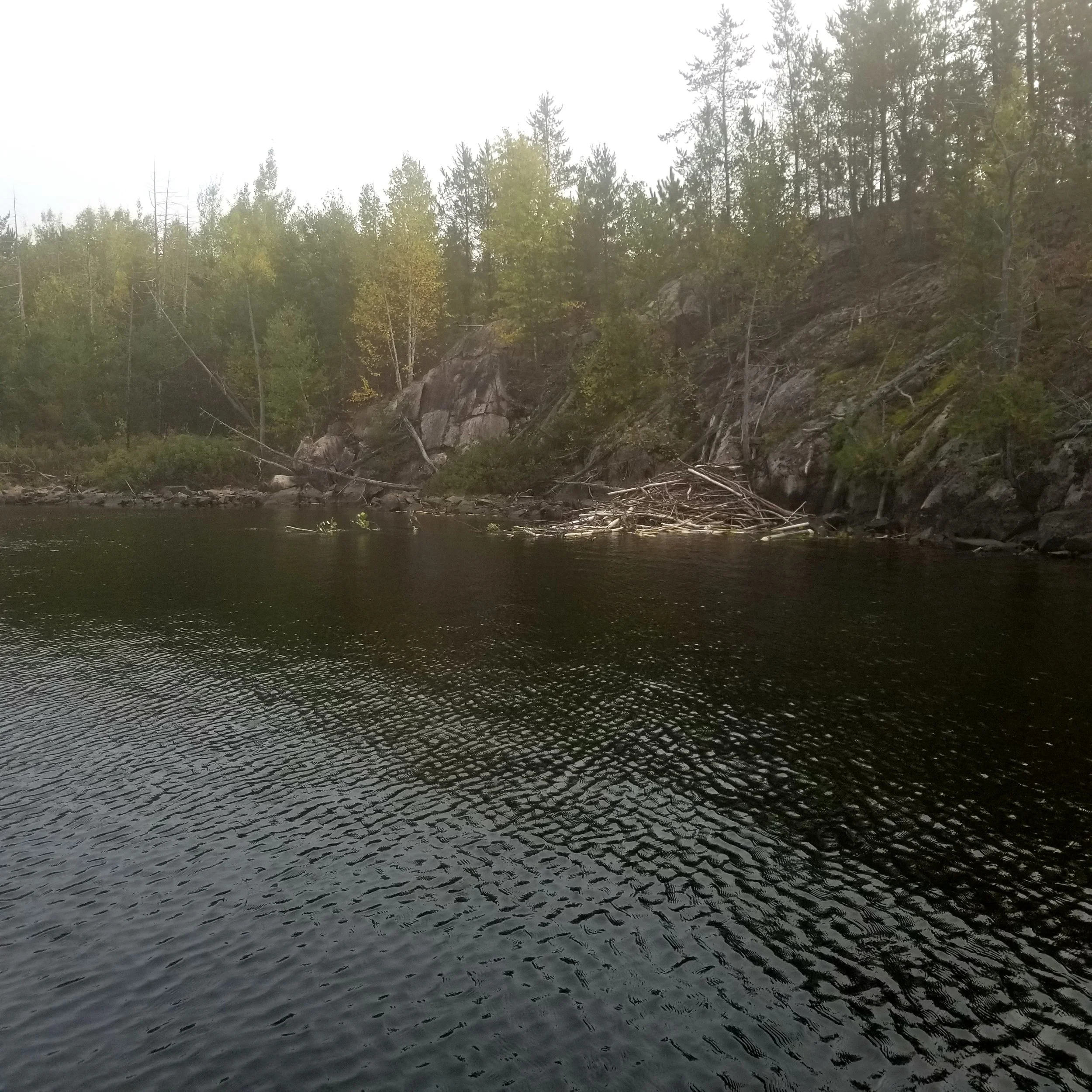 20230926_141441.jpg