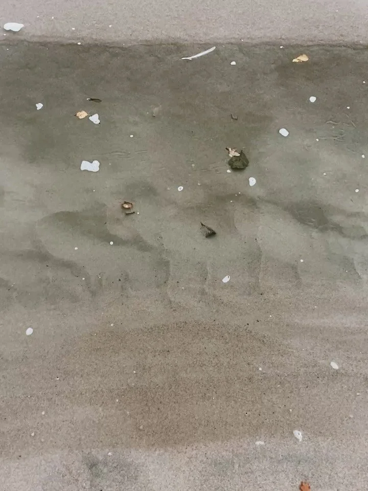 Nature as inspiration first and foremost, always. In everything from how I dress to my artworks; you&rsquo;ll find trace of its motion, contrast, palette and composition. 〰️