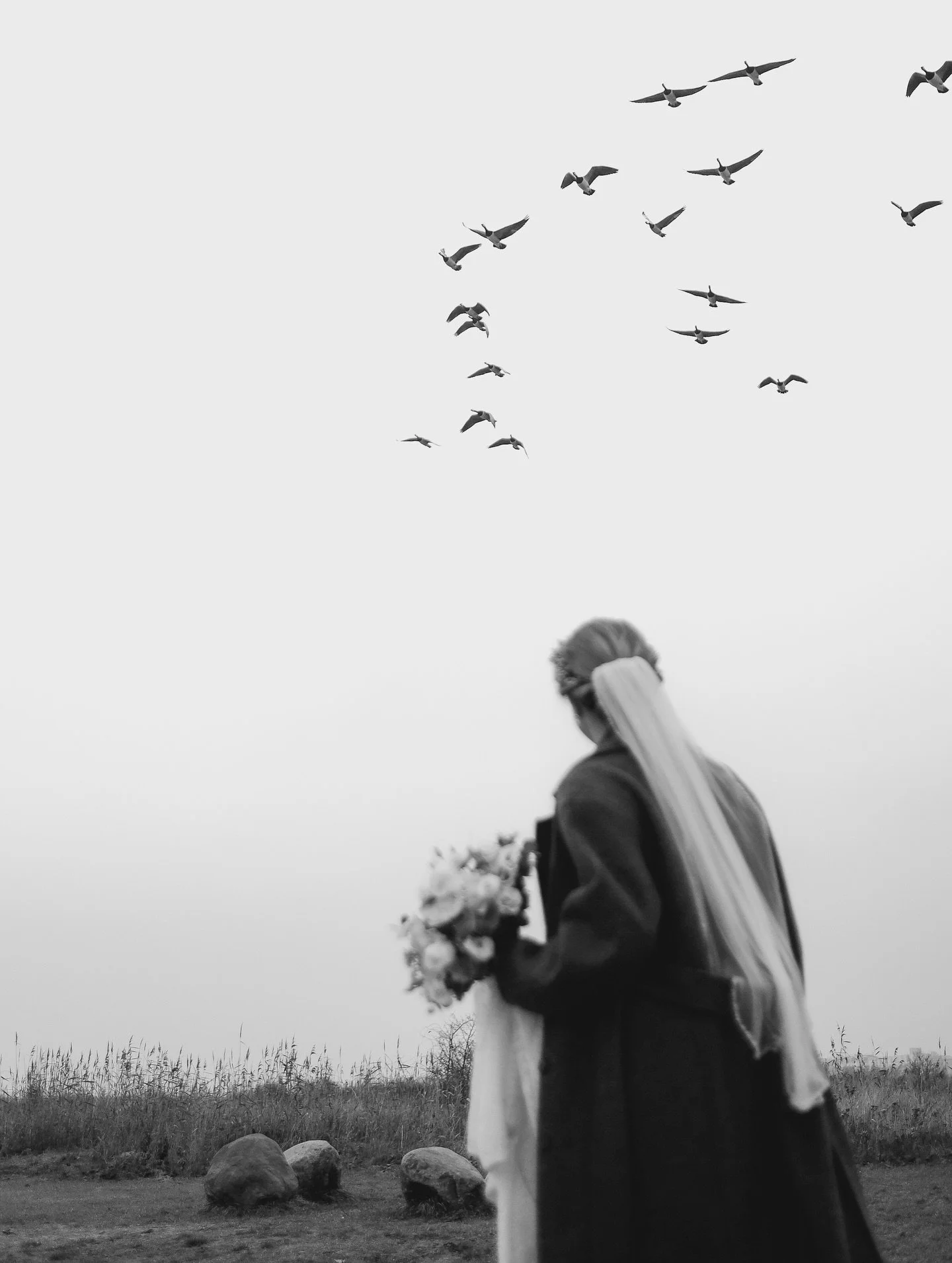 Emma &amp; Emil pt 2 🌹