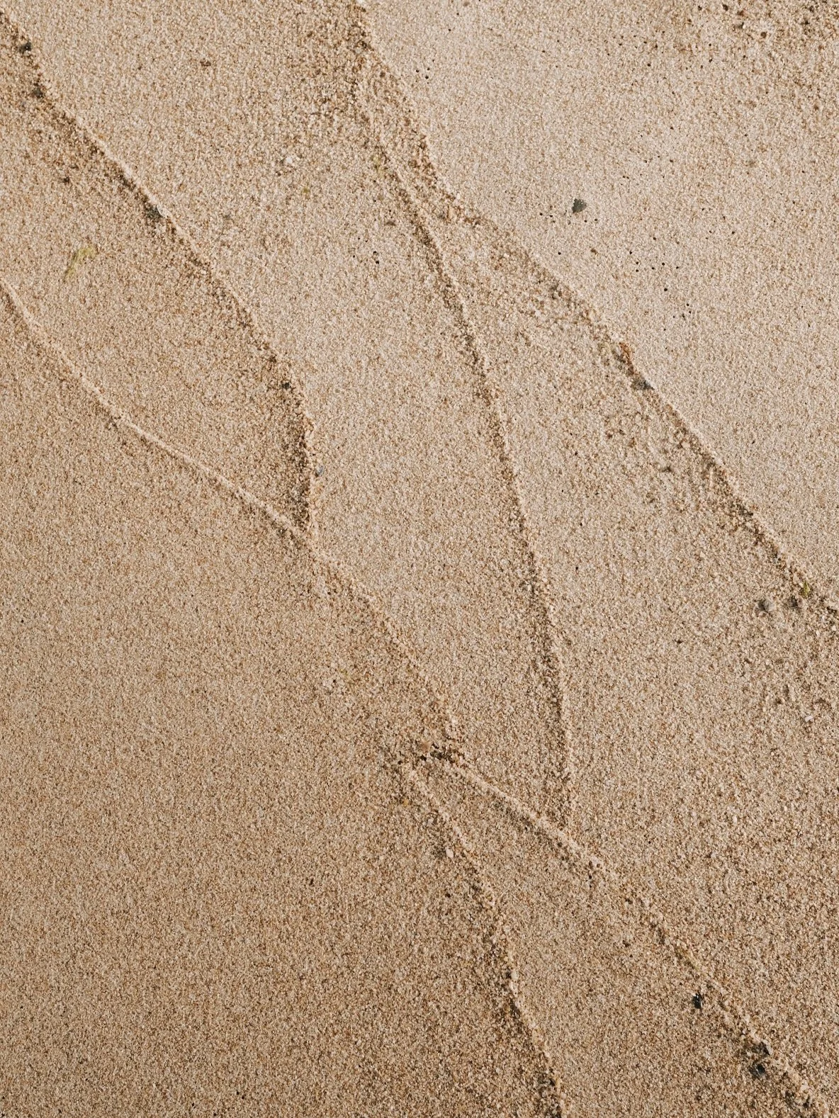 Abstract by nature 🪐