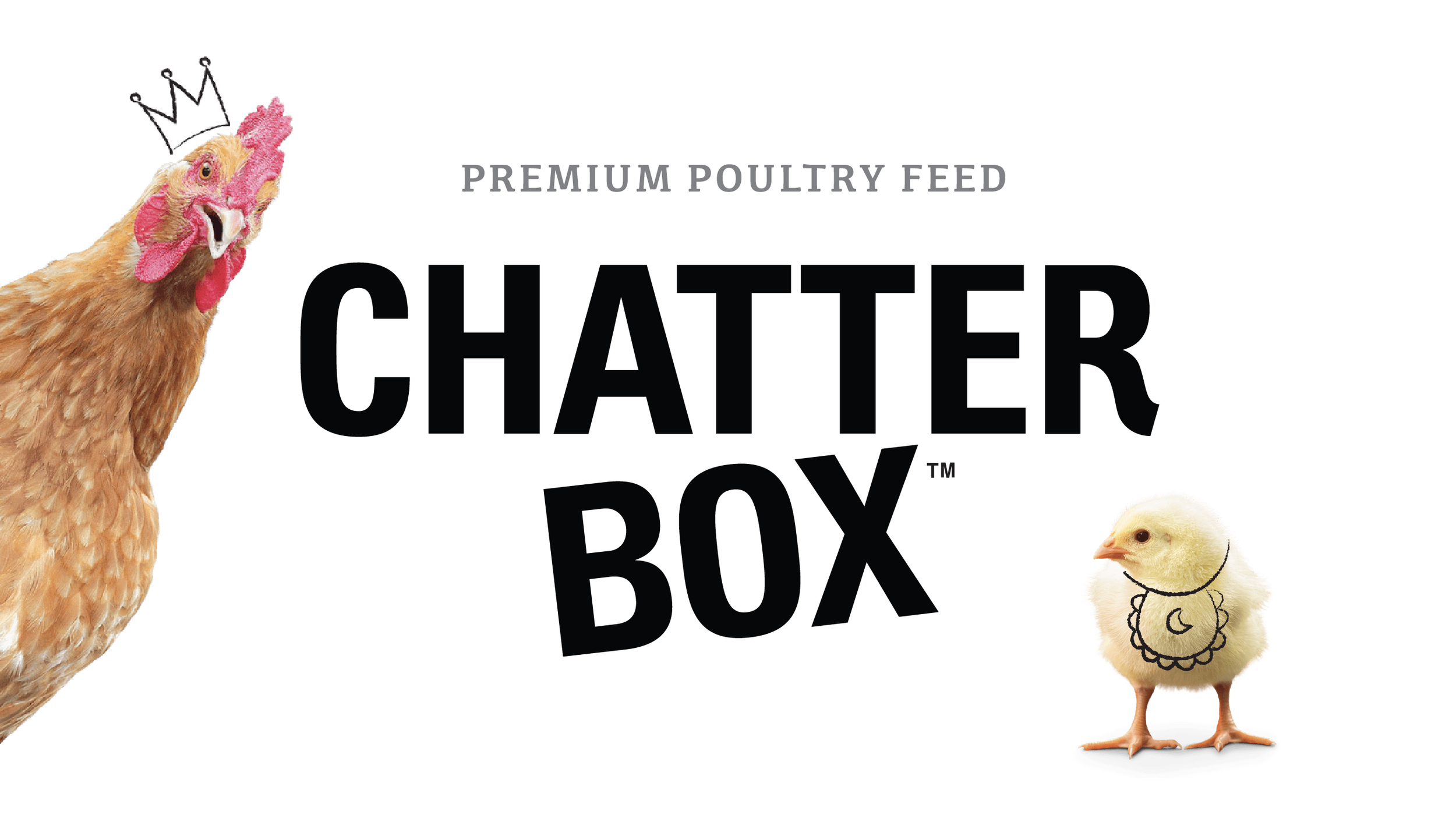 Chatterbox BANNER-02.png