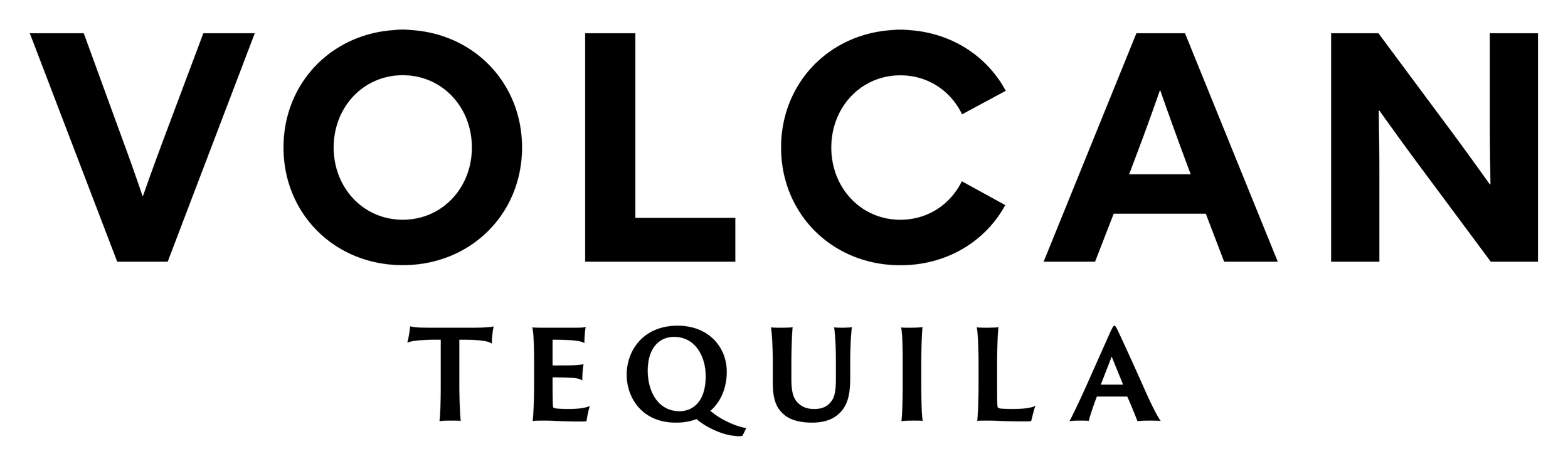 VOLCAN SIMPLIFIED-TypeLogo-Final-Black.png