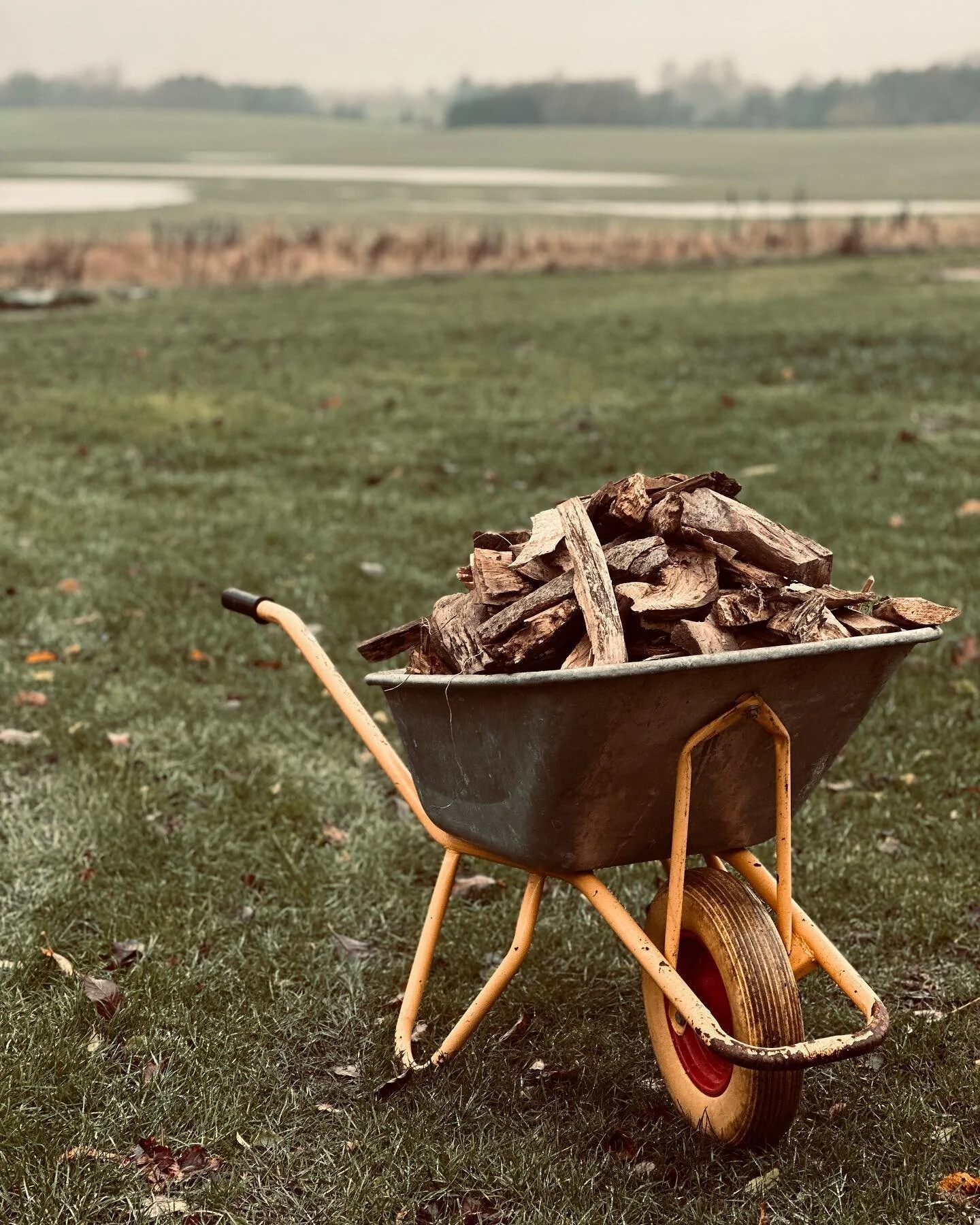 Varmen ruller ind 🔥