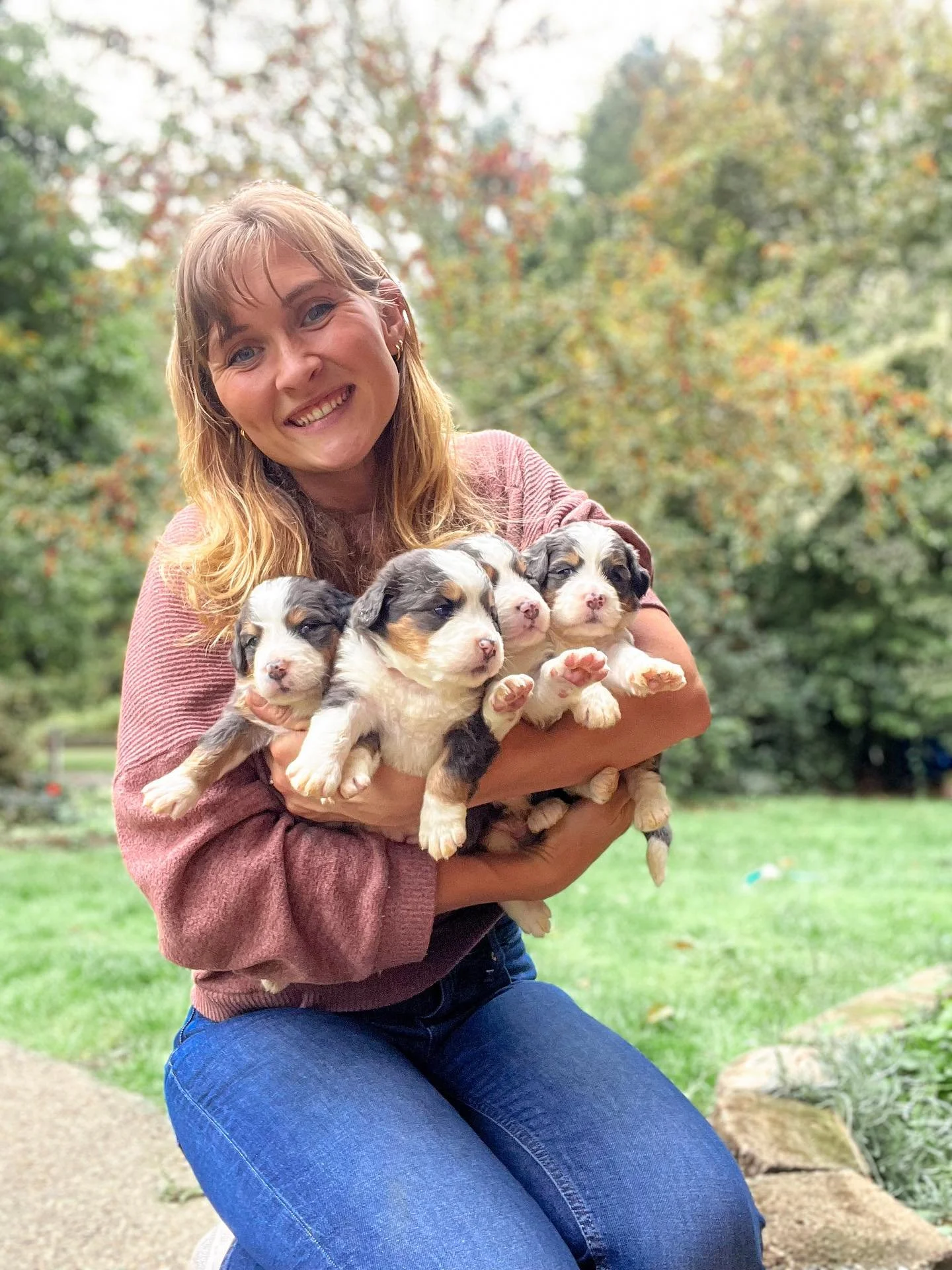Raising these sweet puppies is such a joy. ❤️ Taking a break from social media for a bit to focus on raising my kiddos and furry family. And a much needed Digital Detox, For all business inquiries and puppy updates, please visit the website. Evergree