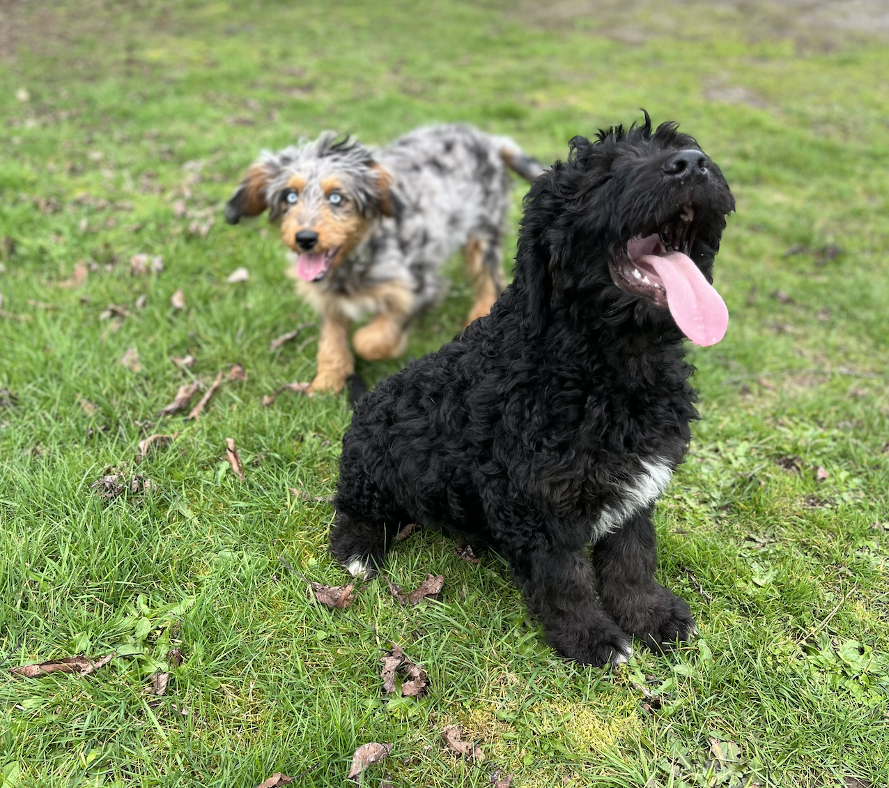 Screen Shot 2026-03-19 at 10.55.38 AM.png