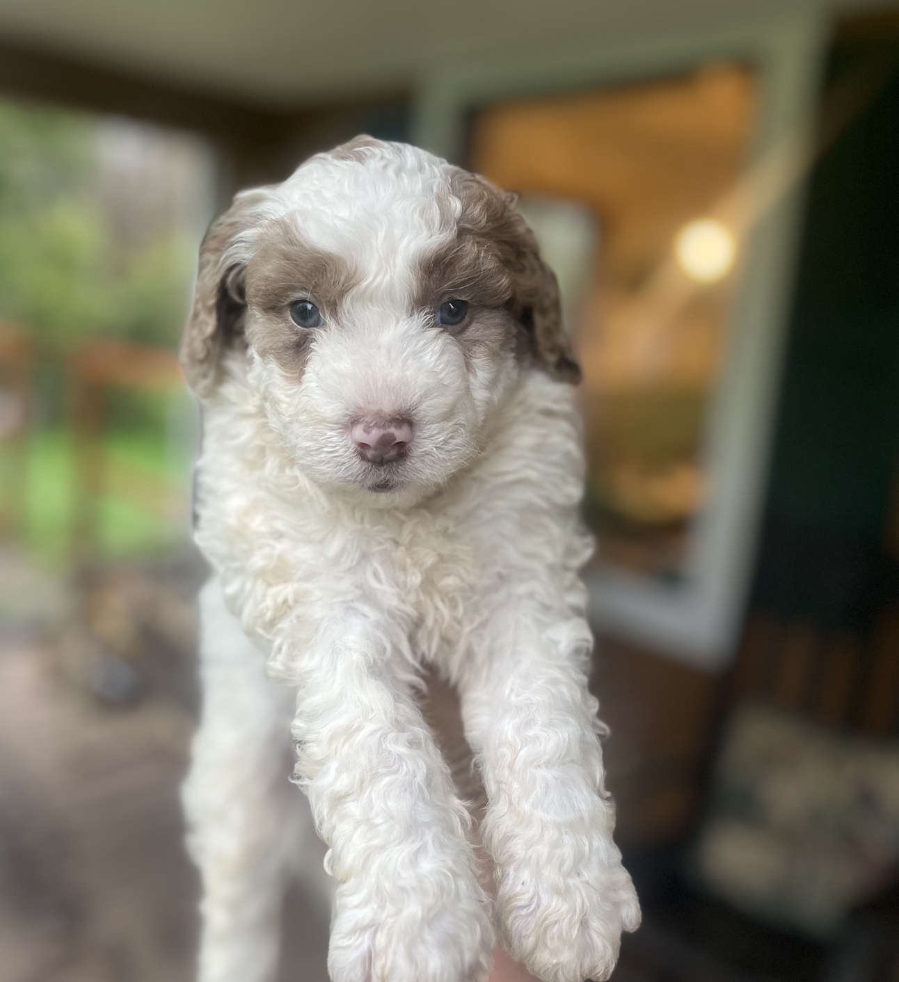 Screen Shot 2025-04-07 at 10.13.45 AM.png