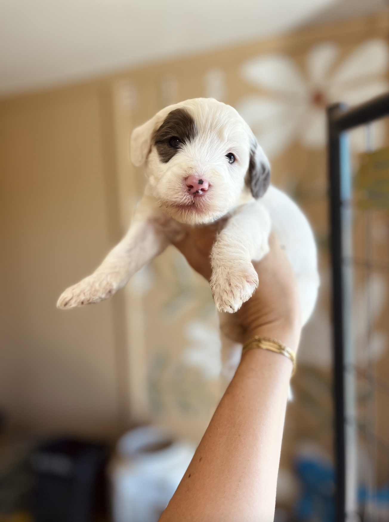 Female - Naboo- AVAILABLE