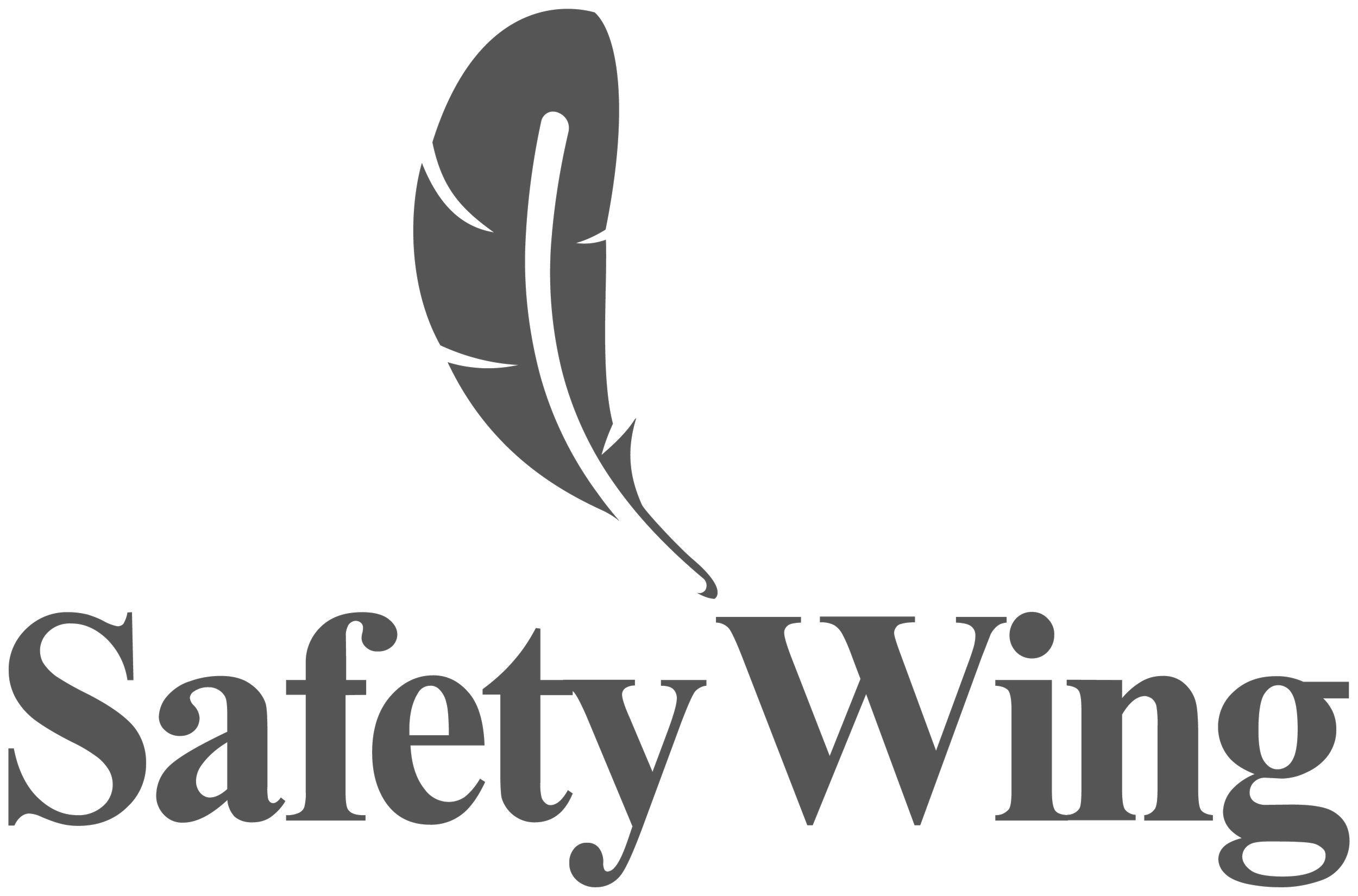 SafetyWing brand partnership logo