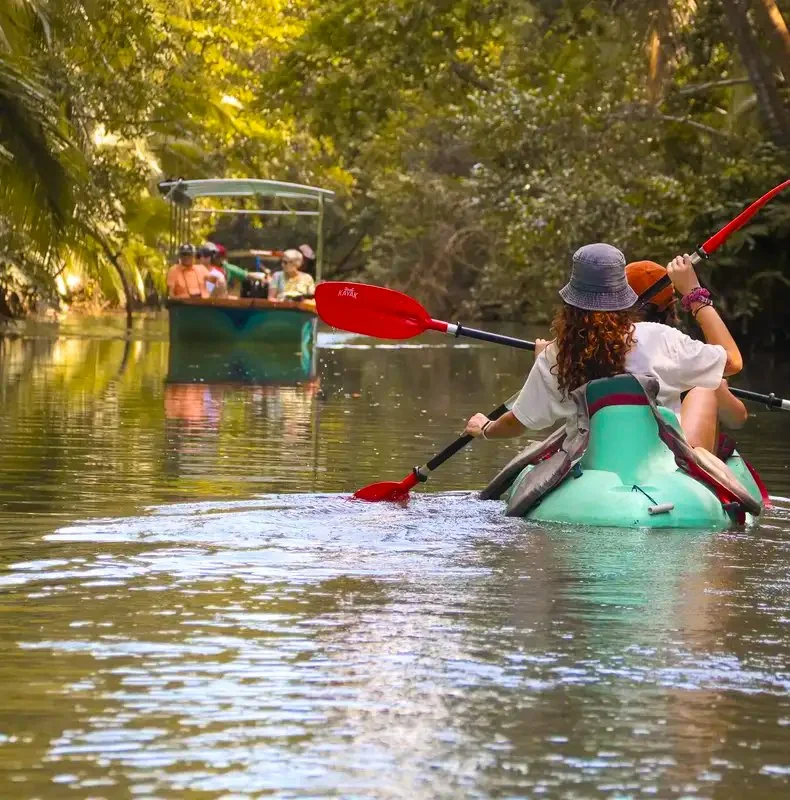 Mangrove kayak tour near Manuel Antonio Park in Quepos