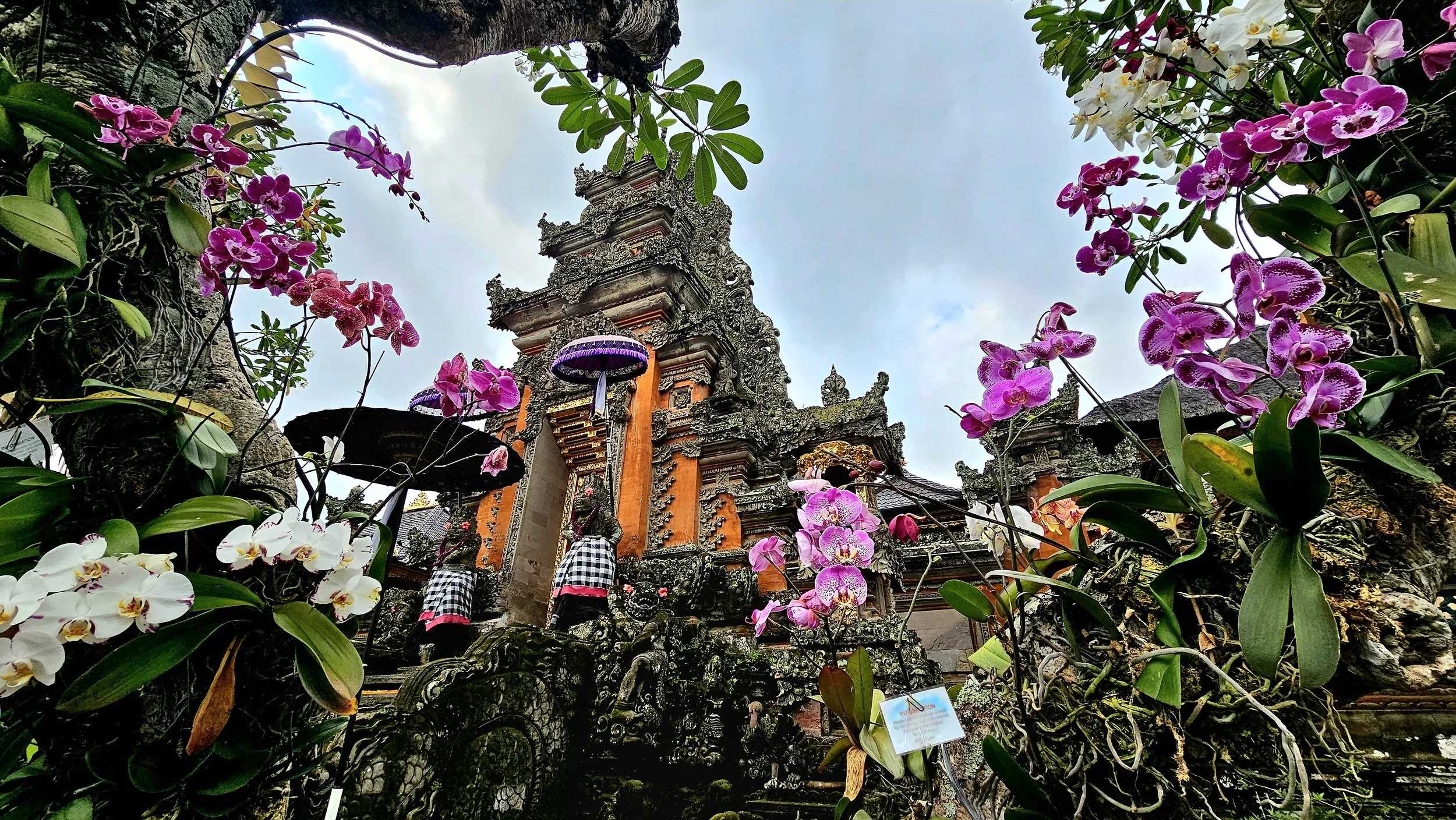 Colorful temple structure surrounded by vibrant pink and white orchids with cloudy sky in the background.