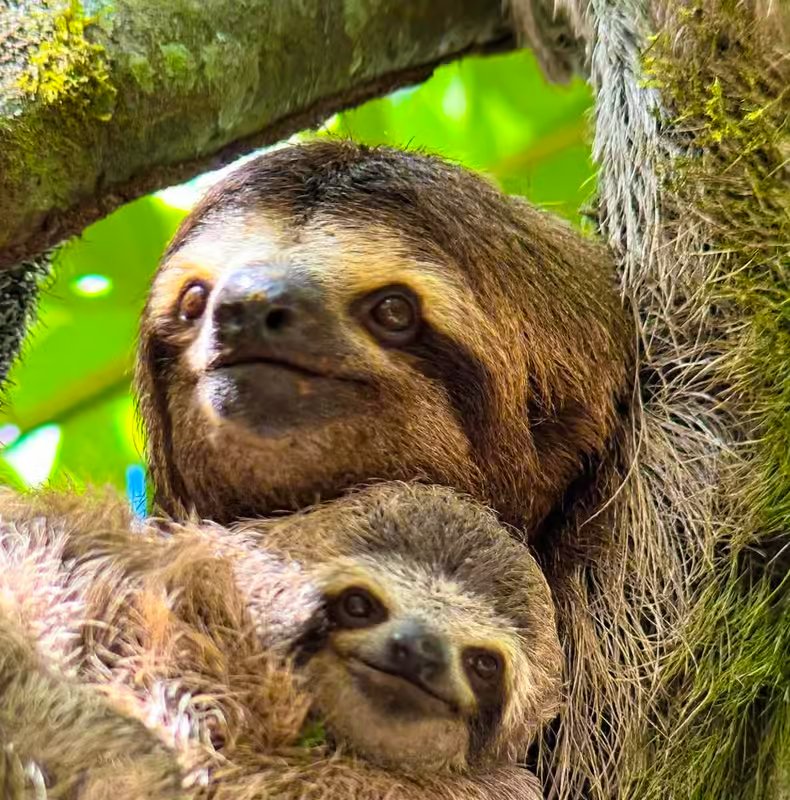 Manuel Antonio National Park guided tour with entrance fee option