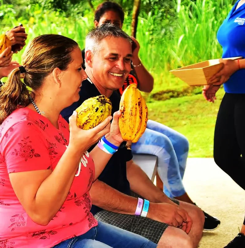 Los Sueños cacao plantation and chocolate tasting tour