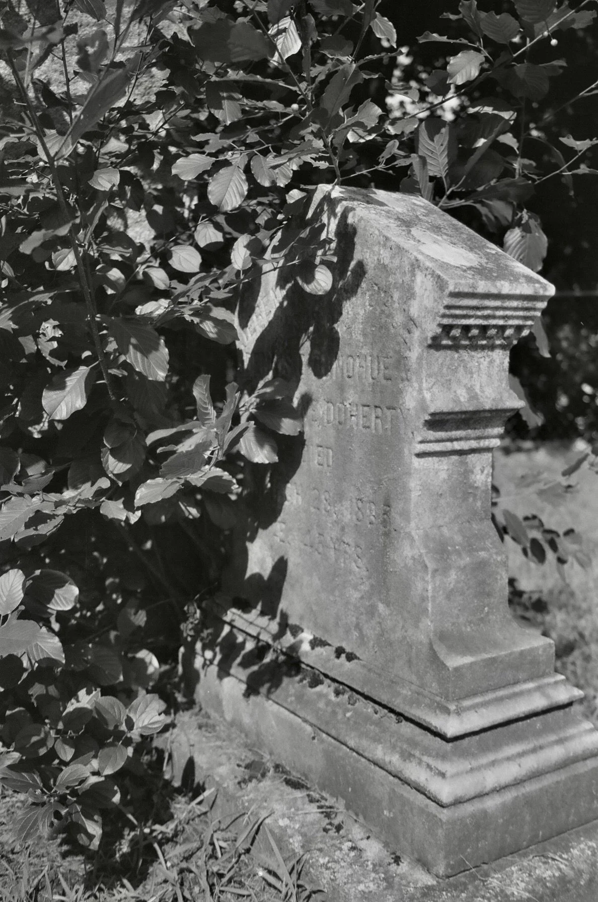 23670025.JPG