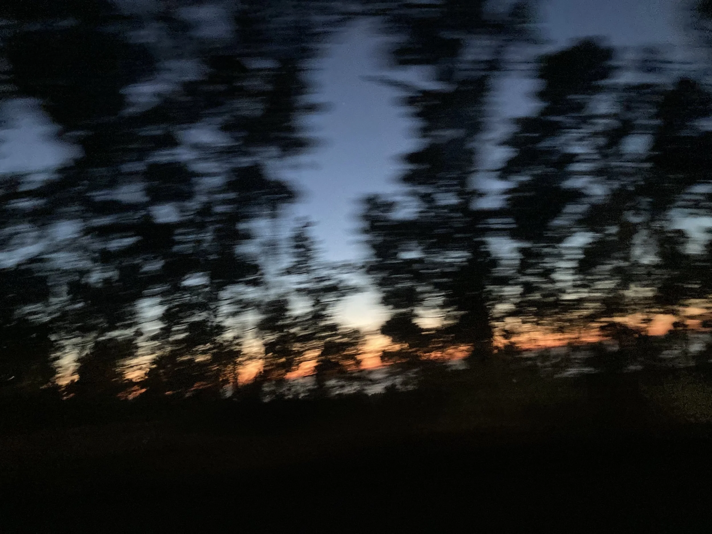 IMG_4023.jpeg