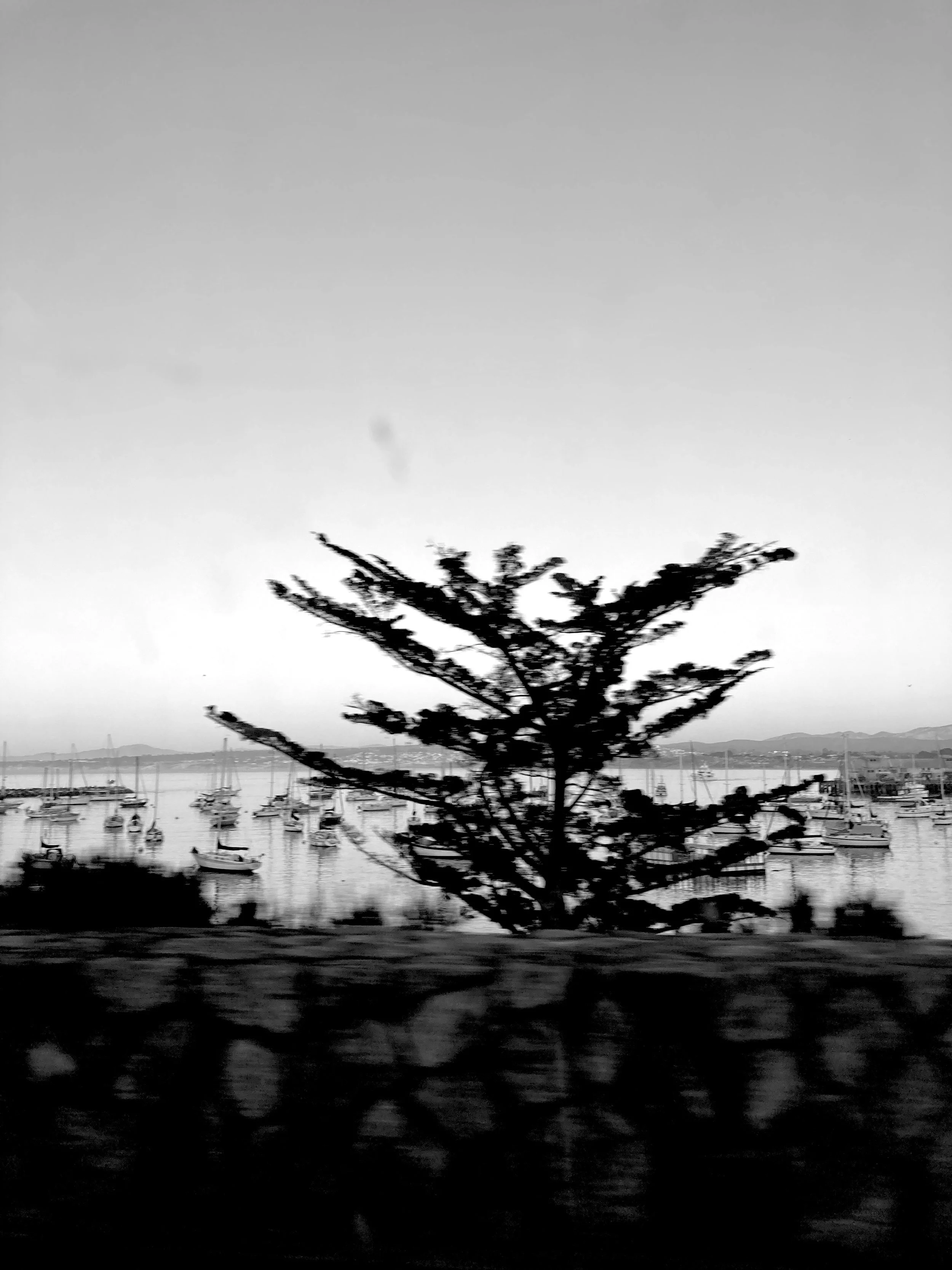IMG_3991.jpeg