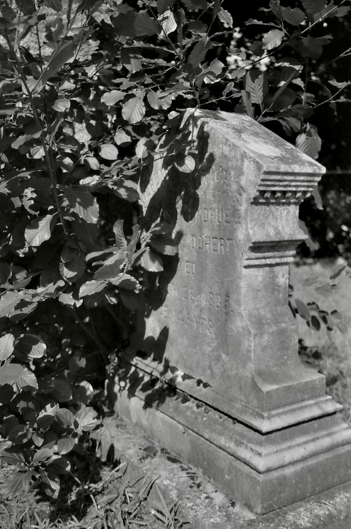 23670025.JPG