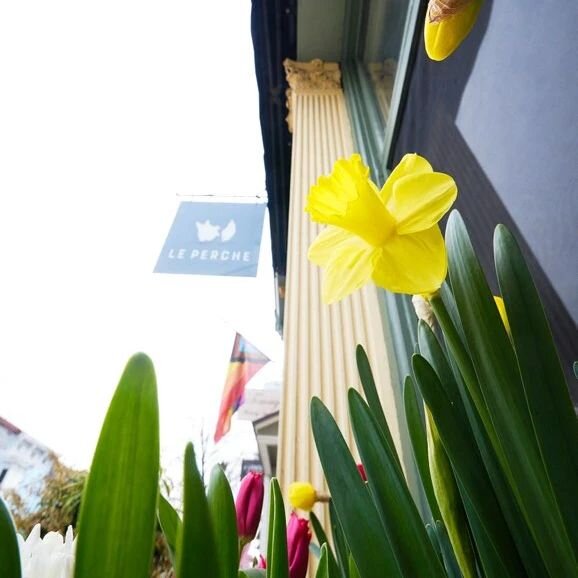 {il est o&ugrave; le printemps?}

#POV : when the weather says late January but our window boxes are screaming Spring! 🫣🌷

Book your table on #Resy.
.
.
#leperchehudson #hudsonvalley #hudsonny #warrenstreet #spring #hudsonvalleyweather #daytimeeate