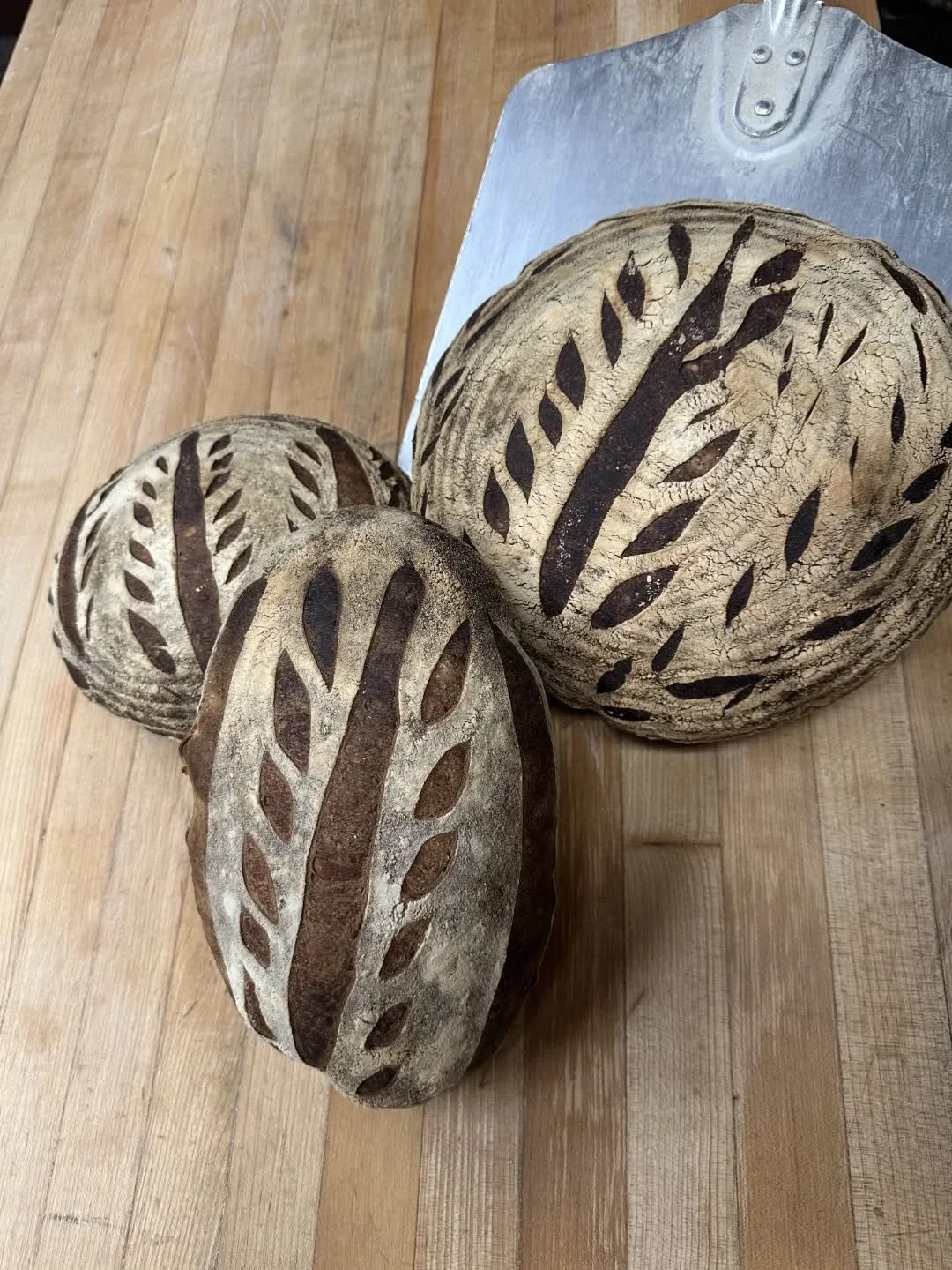 🚨🚨🚨 WE ARE OPEN FOR BRUNCH ON MONDAY, 2/16, PRESIDENTS' DAY! 🚨🚨🚨 9-3pm

💘💘 Still a few spots available for our Valentine's Day dinner - visit our website www.leperchehudson.com to view menu and book your table! 💘💘 Or stop by the bakery tomo