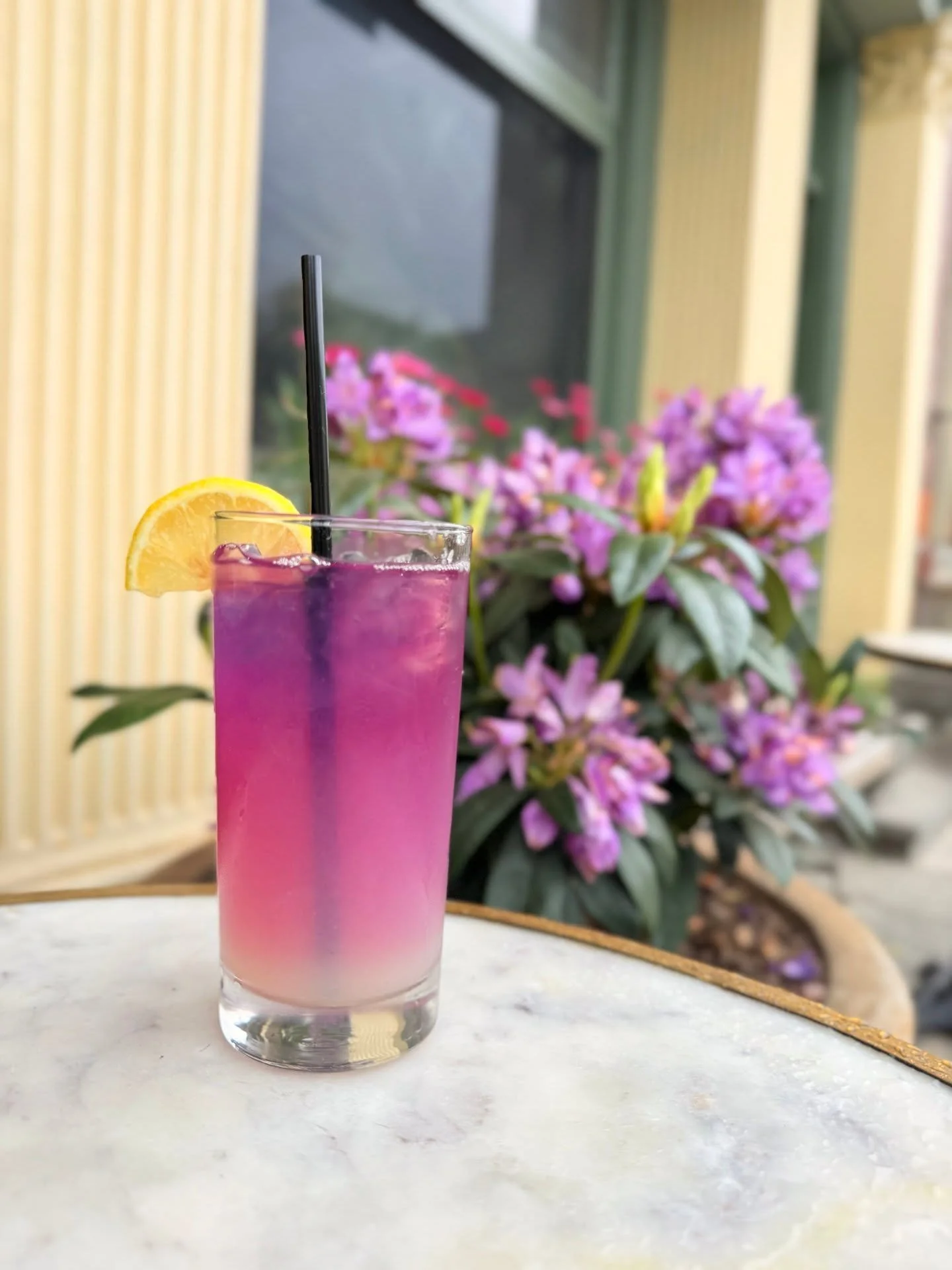 Refreshing, vibrant, and crafted to celebrate Pride: our Lavender Lemonade is premiering for Pride Month ! 🌈

Join us Wednesday through Sunday indoors or in our covered garden out back.

📷: @lauren76864
.
.
#LePercheHudson #bakery #restaurant #lemo