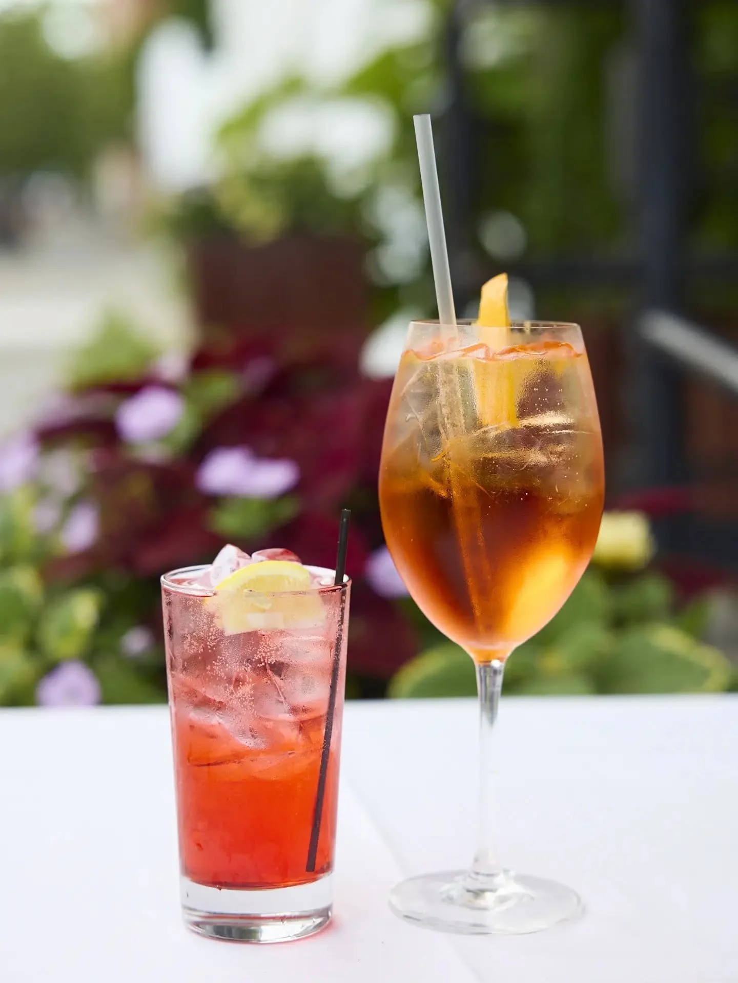 {L'automne d&eacute;j&agrave;? pas possible...}

Chin-chin to Fall!

Our outdoor garden is still open! Visit us Wed-Sun, and book your spot on Resy.
.
.
#LePercheHudson #bakery#restaurant #cocktails