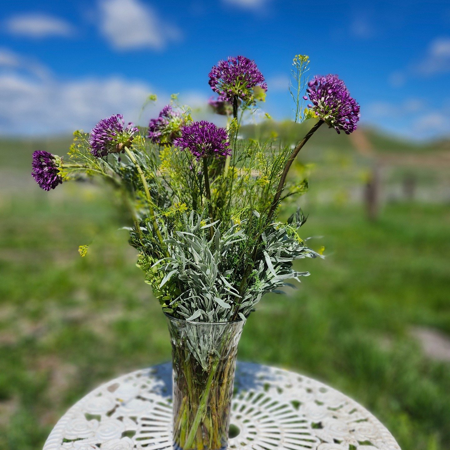Whimsical Allium everyday bouquet. Flowers all locally grown and harvested right here on our farm.
As the flower farmer and the florist we get to do the hard work of growing the flowers and then the creative work of designing bouquets that reflect