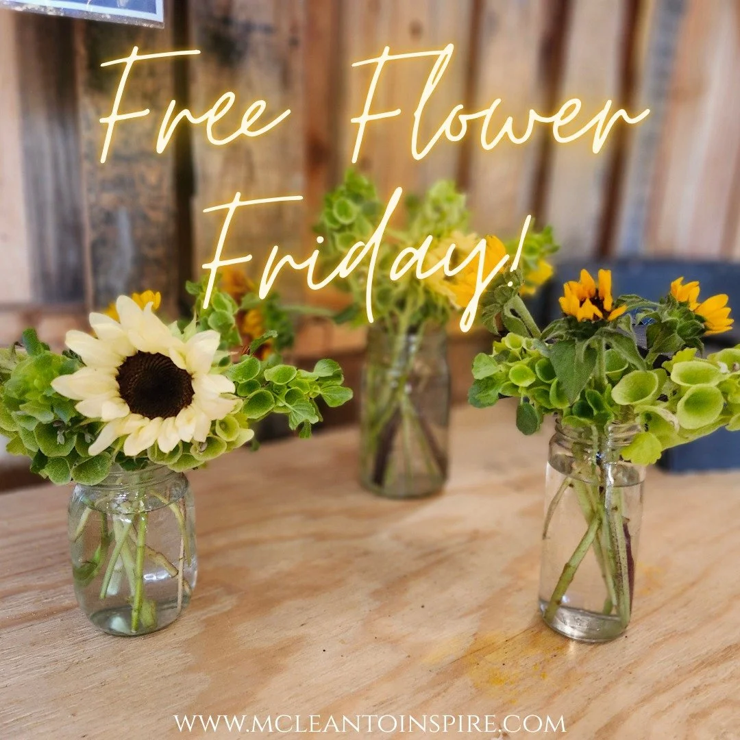 We have FREE MINI BOUQETS in the farmstand today for FREE FLOWER FRIDAY here at the farm.
At the request of our customers we are ALSO offering regular sized flower bouquets FOR SALE today. We have a variety of sizes, colors and styles in the farmsta