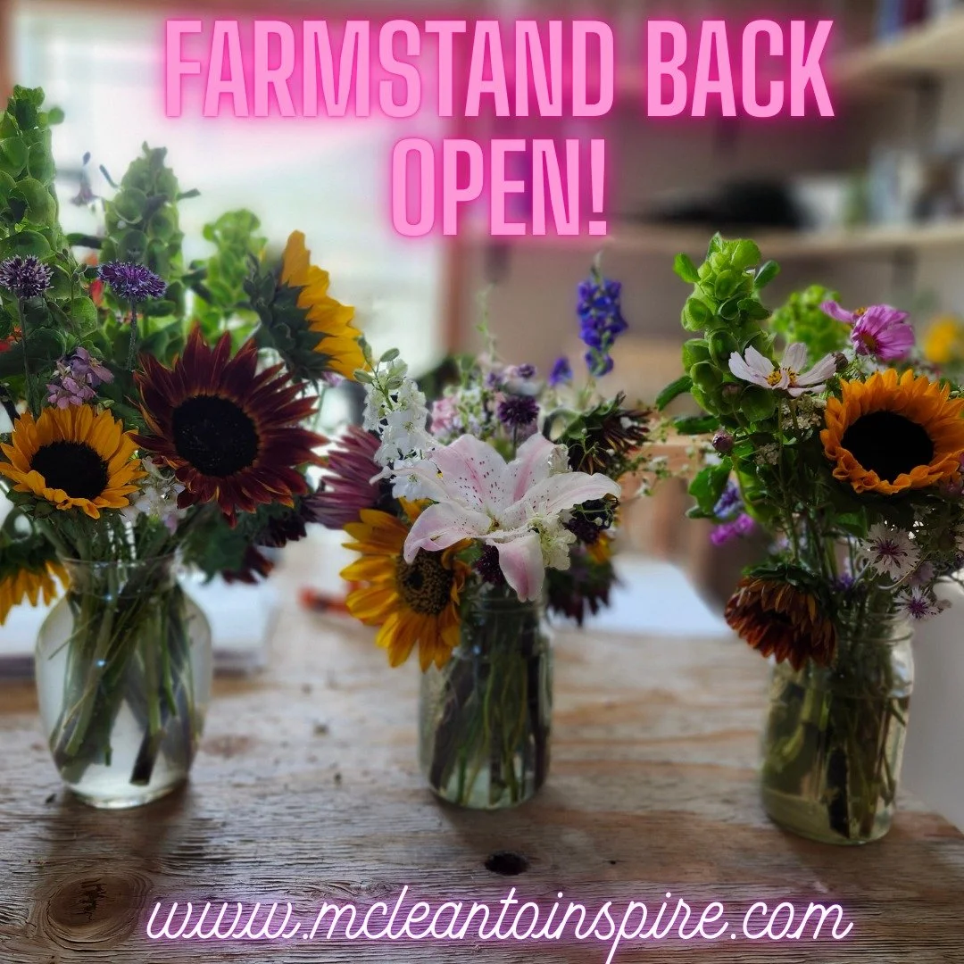 The farmstand is re-open today. We will be putting bouquets out later today.
Call or text to place an order.
www.mcleantoinspire.com
#flowers #farmstand #farming #gillette #bouquets #local #