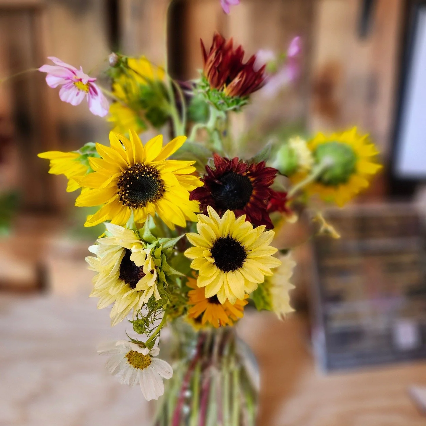 We have several beautiful bouquets in the farmstand today!
Stop by and check them out.
When you support our family owned business you help support our family in more ways then you know!
If you haven't stopped by the farmstand be sure to before th