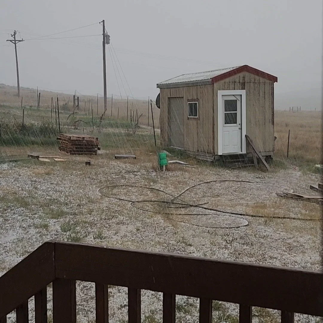 Last Night the farm got hit by one of the larger storms we have had since moving here. Extremely high winds, hail and flooding. Flower production was already decreasing the last week or so and this did not help. We DO still have flowers and NOT every