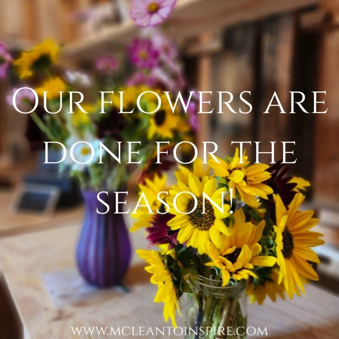 Due to the recent weather changes including the hail storm last week and increasingly colder night temps our flowers have decided they are done producing for the season. The stems that our flowers have been putting out the last two weeks are extremel