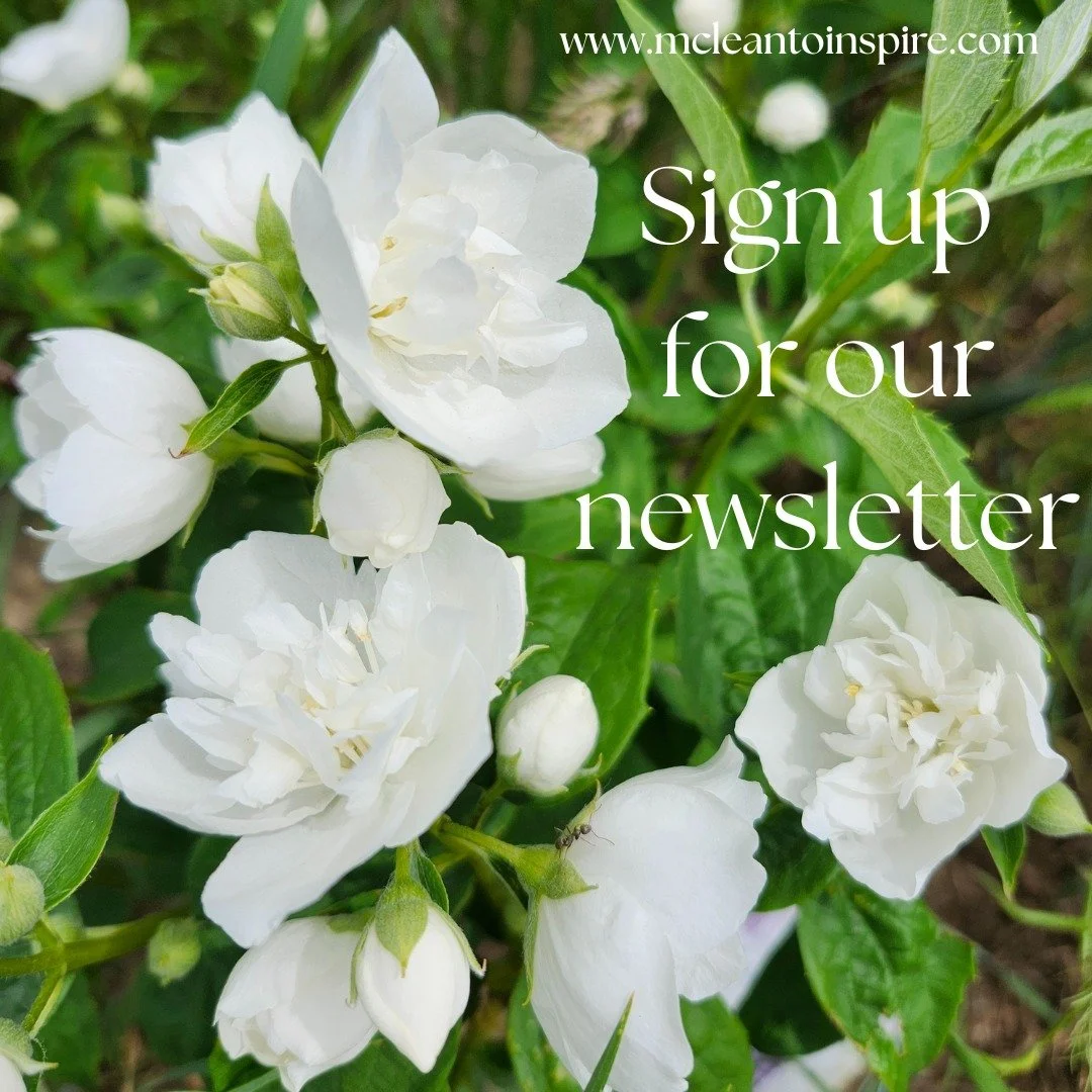 If you have not had a chance to sign up for our newsletter we suggest you head over to our website www.mcleantoinspire.com and visit the contact page to sign up or find our sign up form on the website footer or popup.

Signing up for your newsletter 