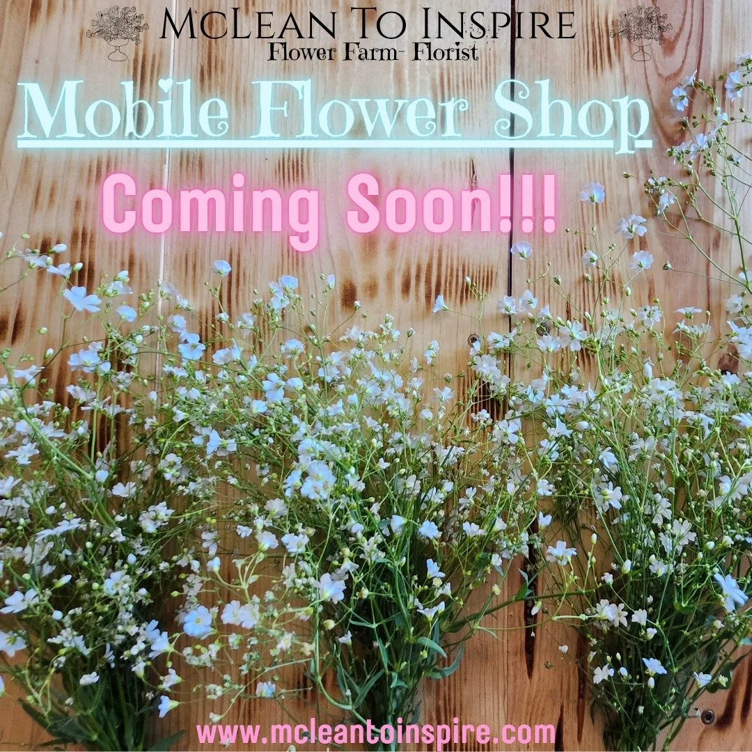 Mobile Flower Shop COMING SOON!

We have exciting news; we are in the process of finishing preparations on our MOBILE FLOWER SHOP. This has been in the works for months. 
We are working very hard to get these final touches finished. 

We again though