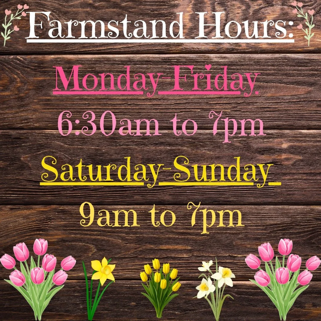 Farm Fresh flower, Gillette, WY
visit mcleantoinspire.com link in bio to learn more about the farmstand and location.