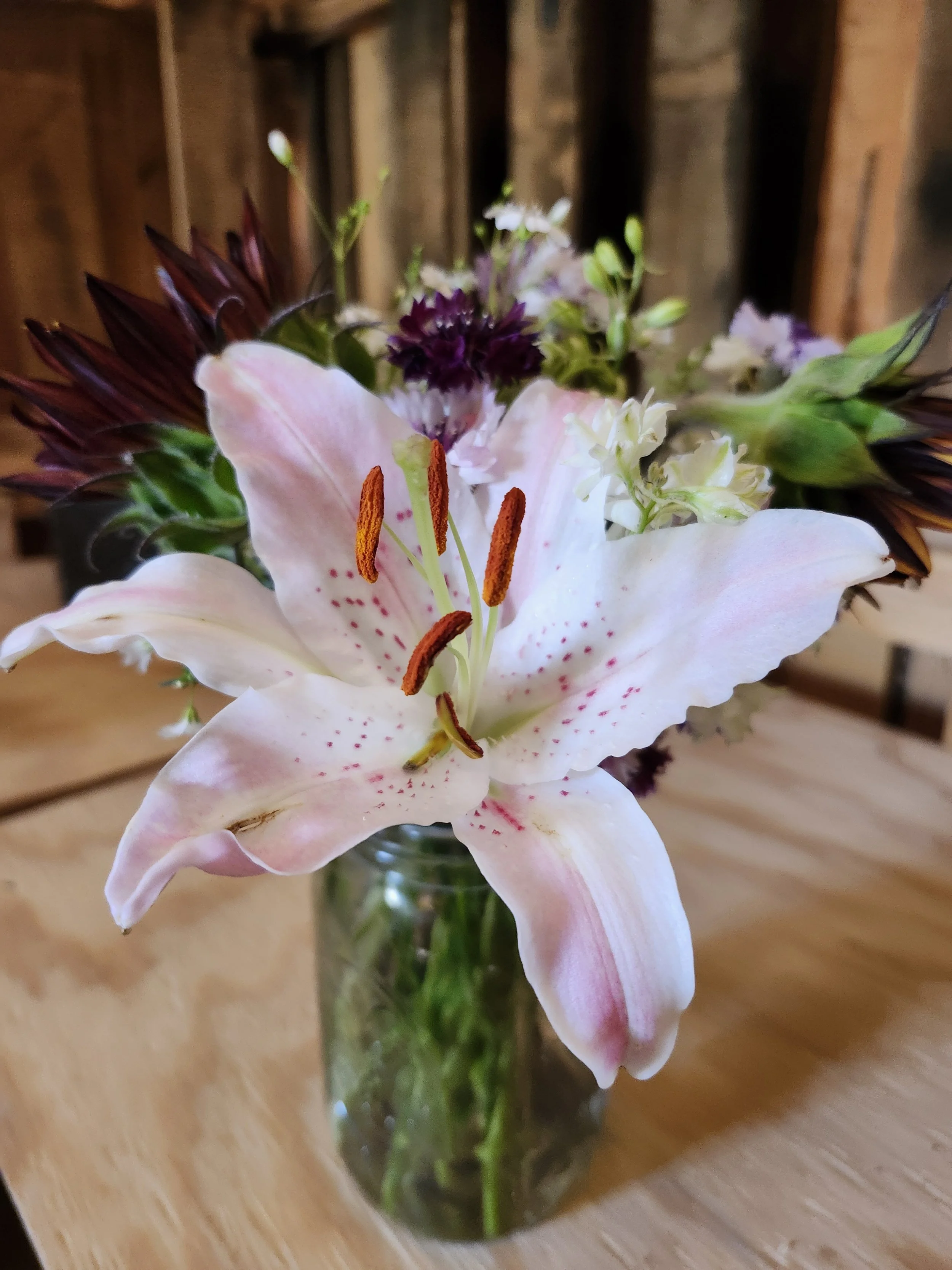 20250808_162128 (3).jpg