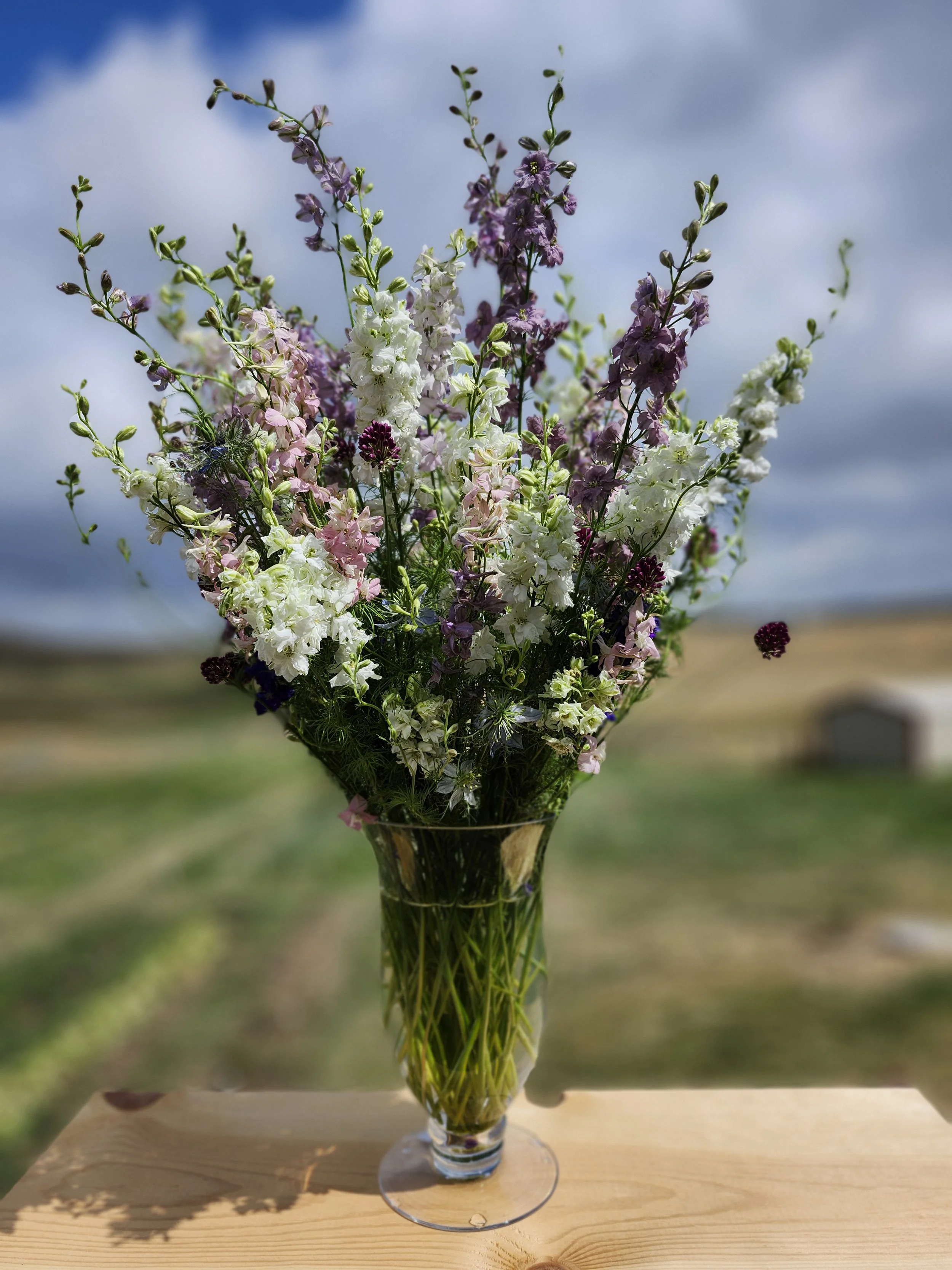 20250723_111015 (1).jpg