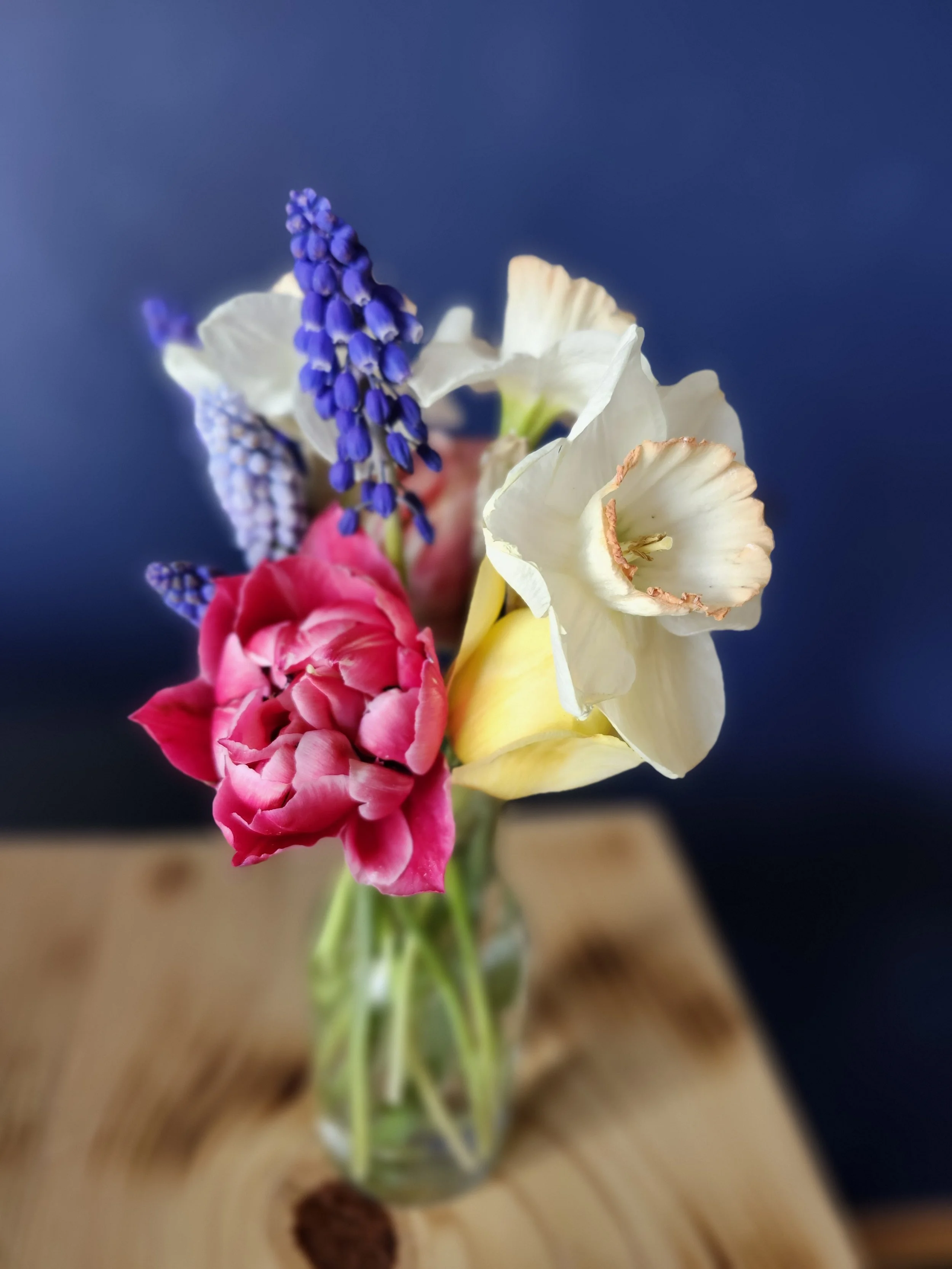 Farm fresh flower bouquet. Tulips, Daffodils, Muscari, Spring bouquet