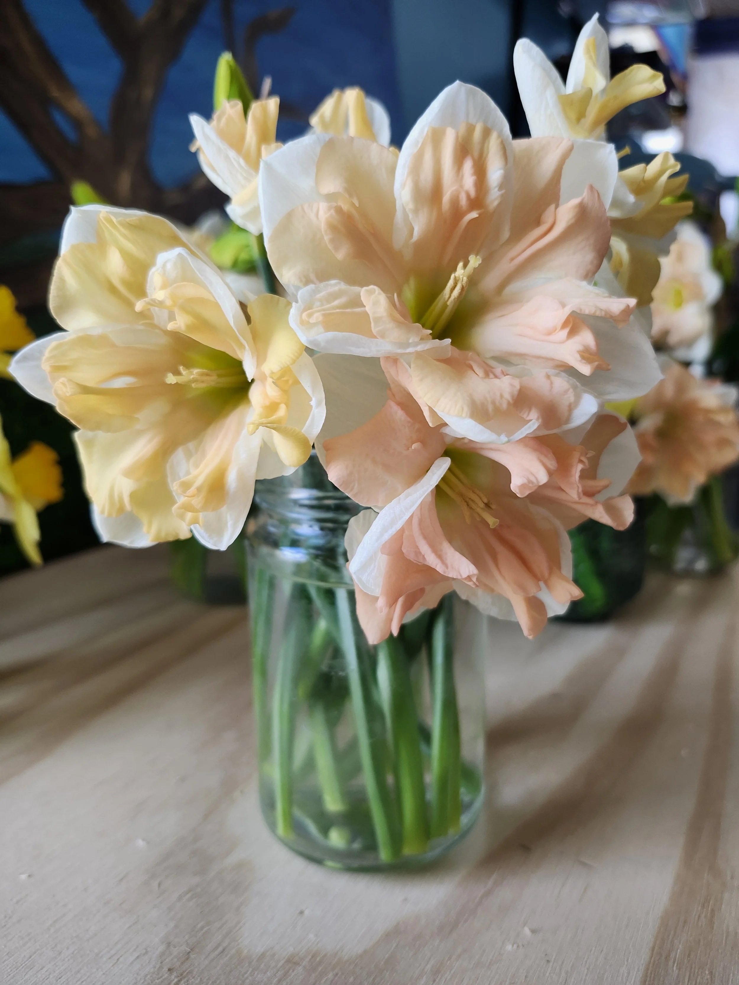 MINI Daffodil Bouquets FARMSTAND PICKUP ONLY