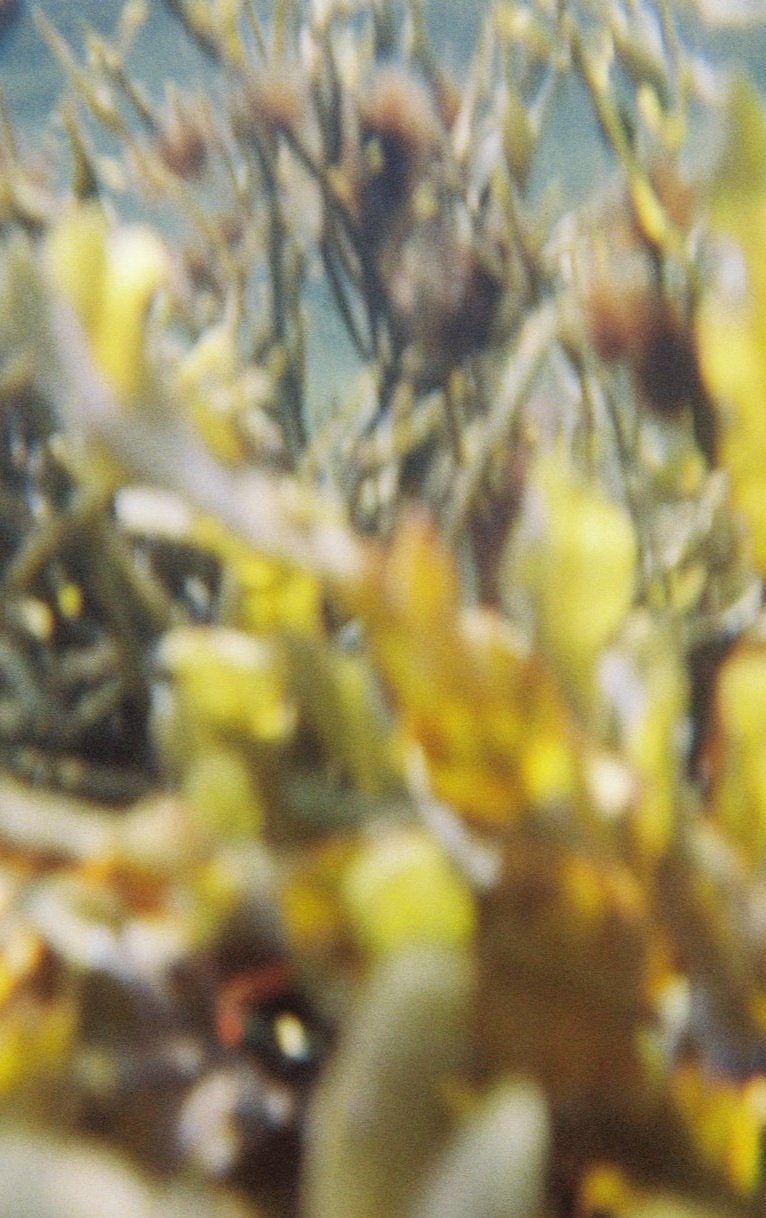 C652875-R3-05-4A.jpg
