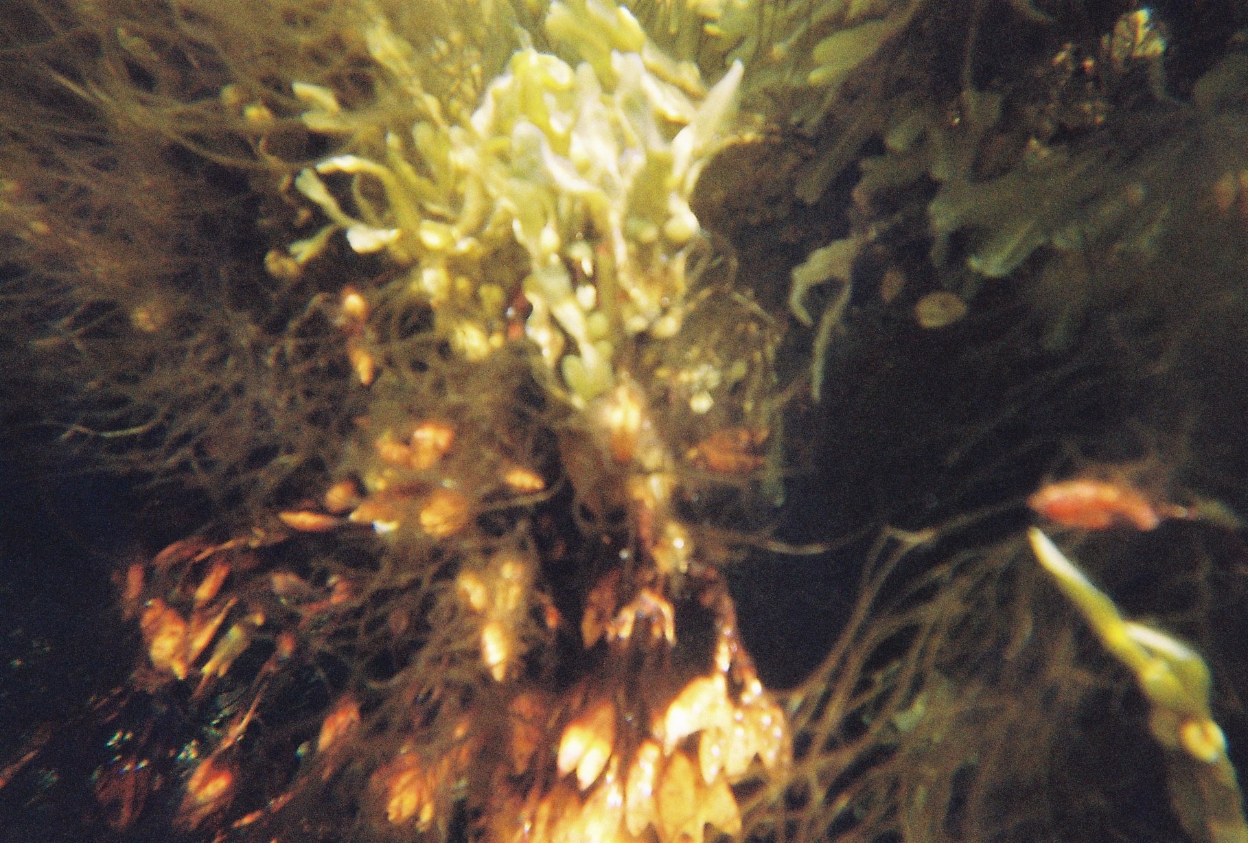 C652875-R1-15-23A.jpg
