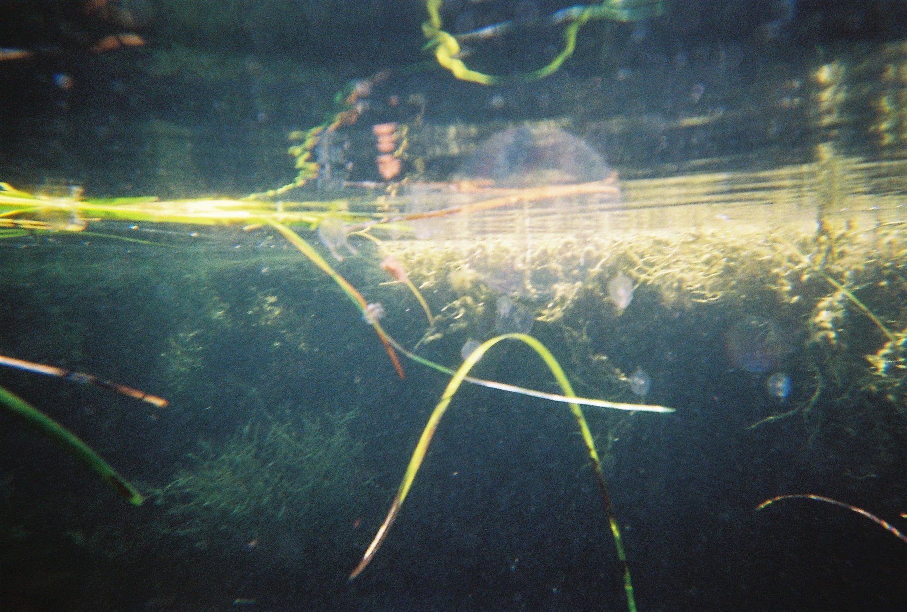 C652875-R2-09-13A.jpg