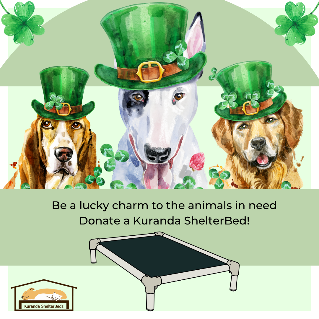 Carthage Humane Society