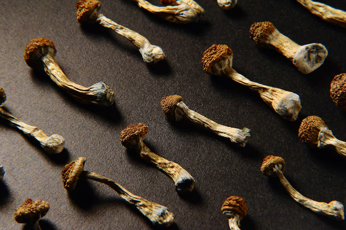 Psilocybin Testing Available