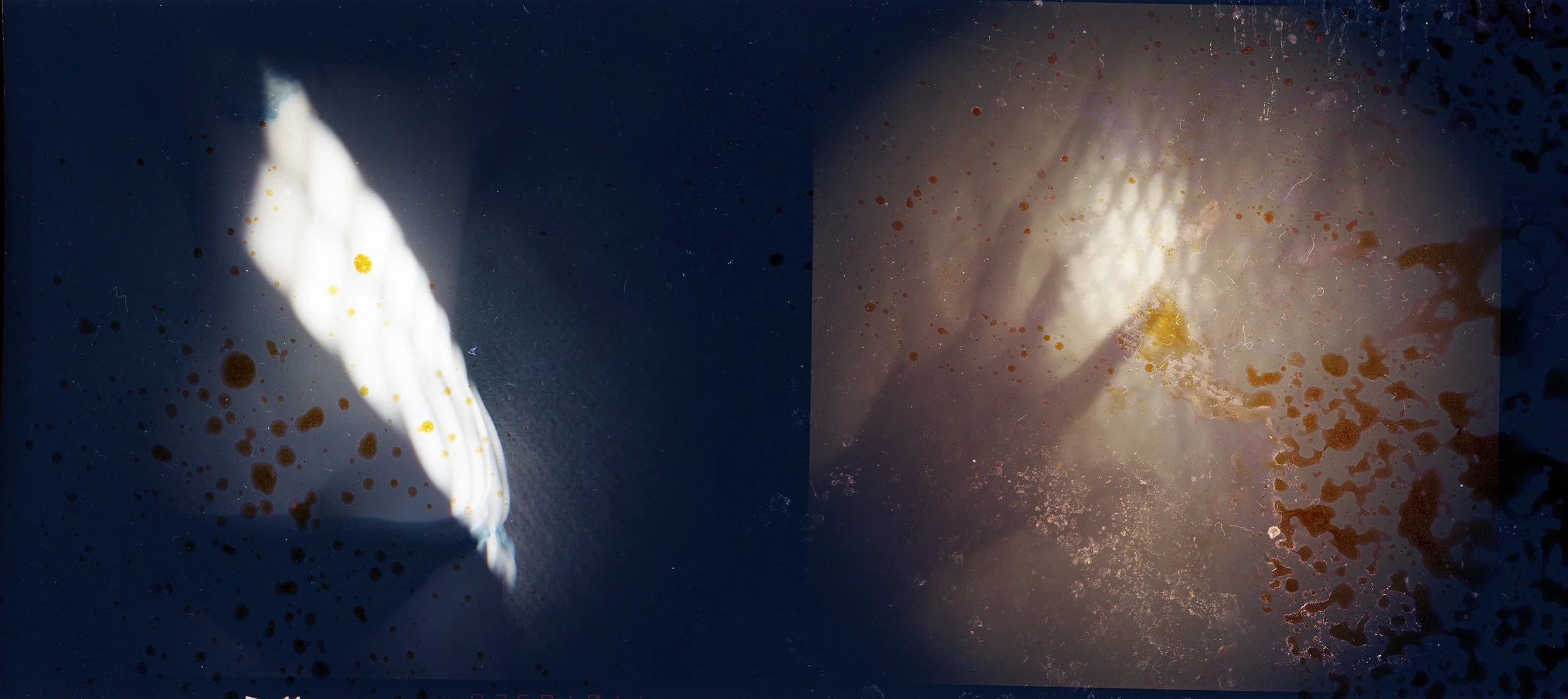 Experiments
