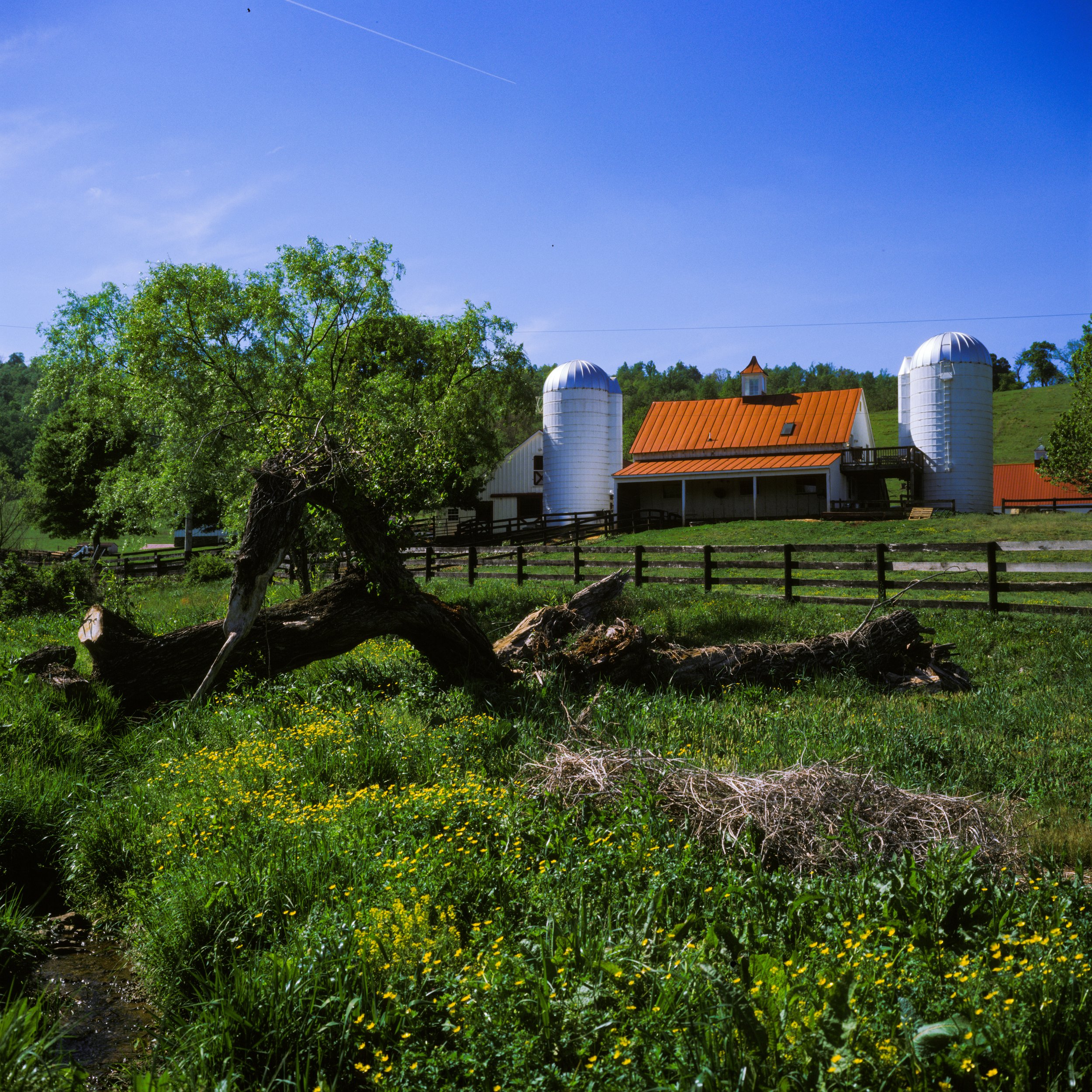 Ovoka Wagyu Farm, VA. 2026.