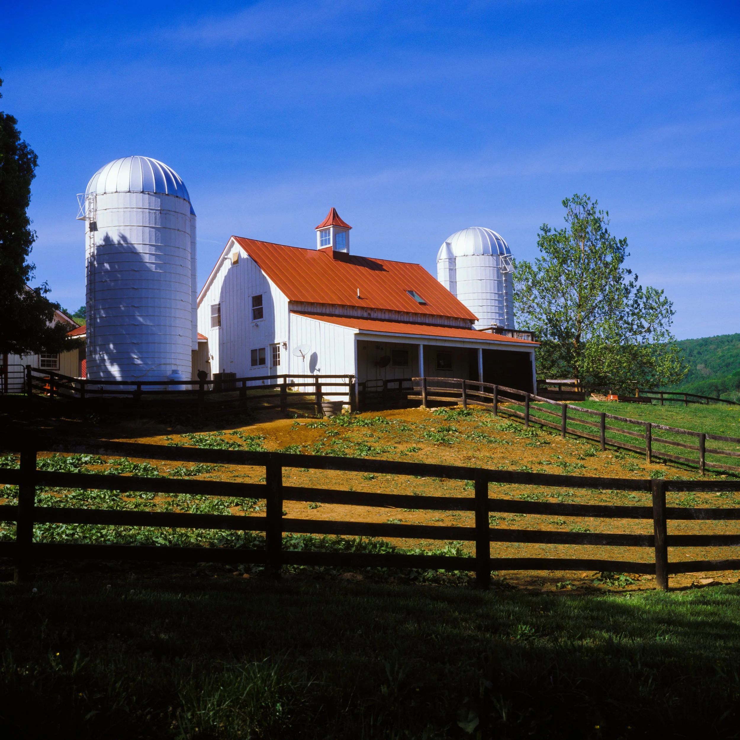 Ovoka Wagyu Farm, VA. 2026.