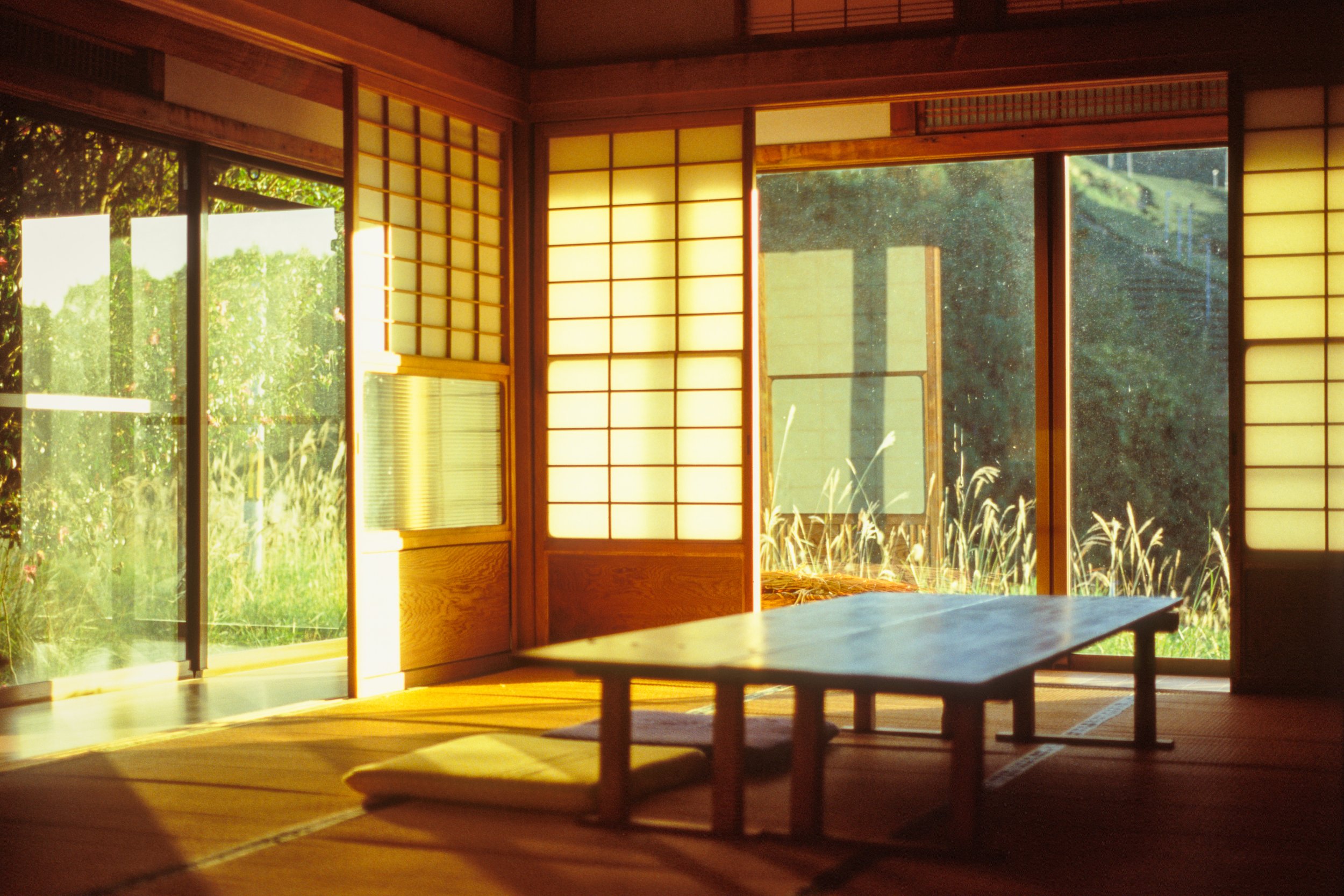 Wazuka Tea Plantation, Kyoto, Japan. 2024.
