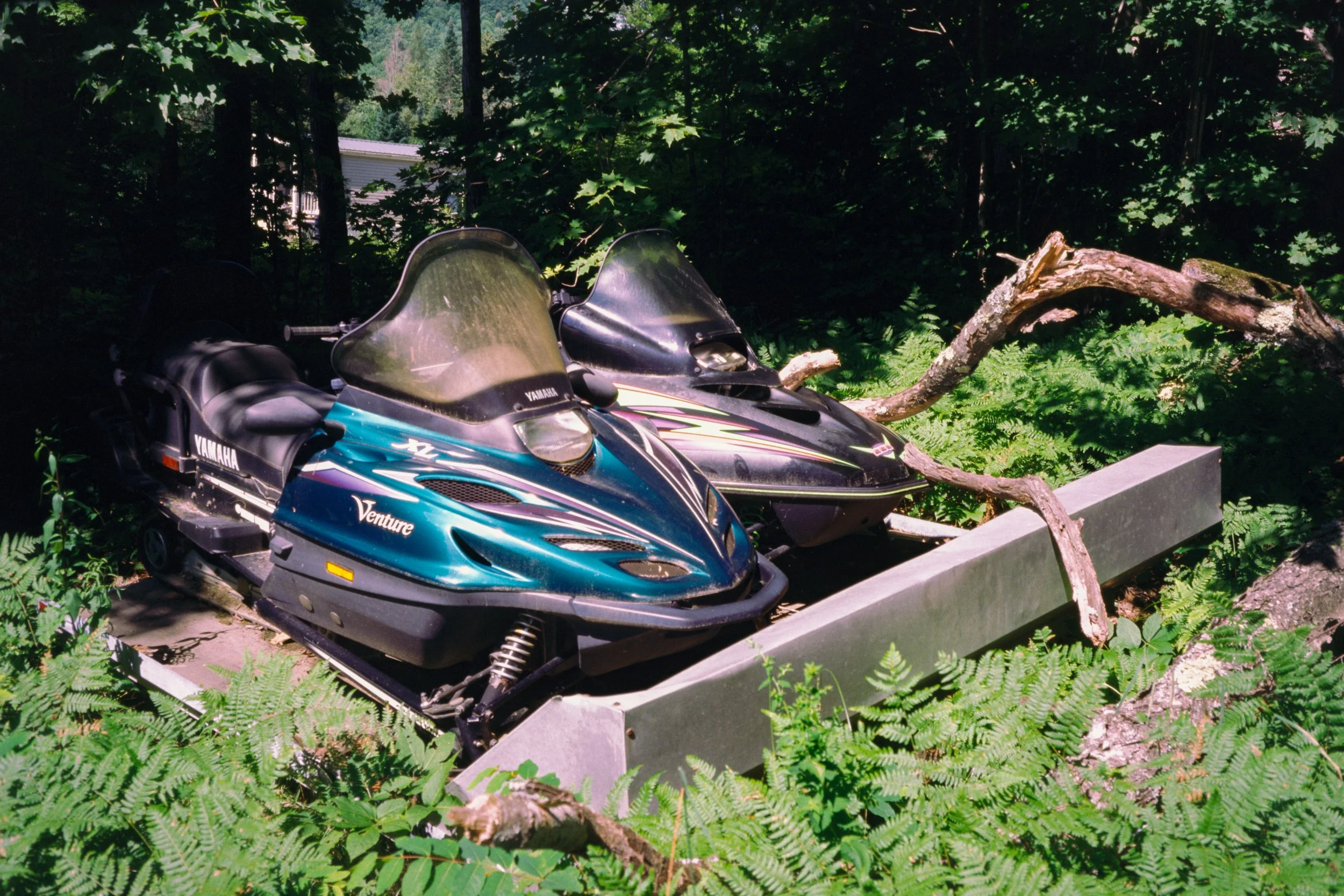 Brighton, VT. 2025.