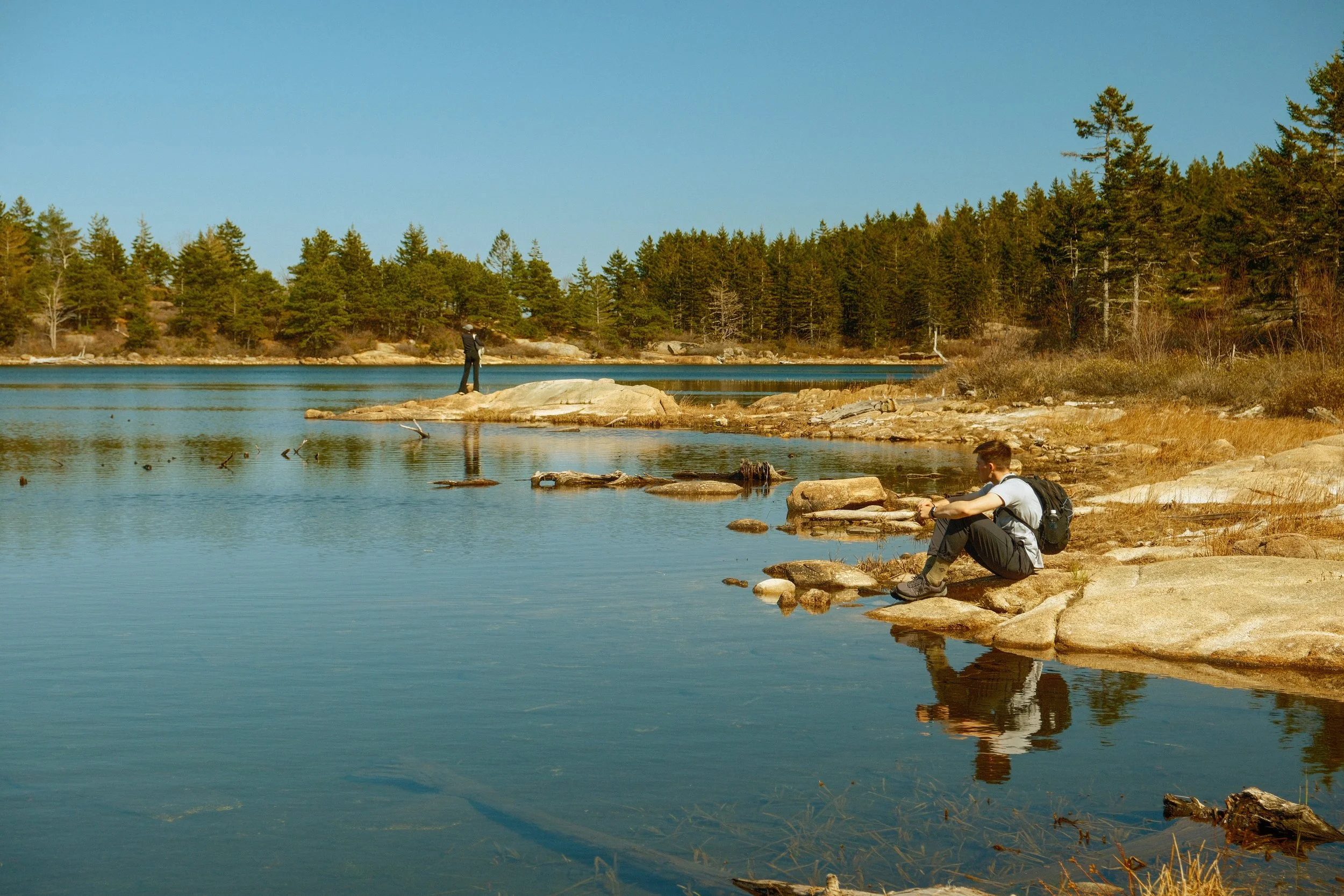 Acadia National Park, Maine. 2024.
