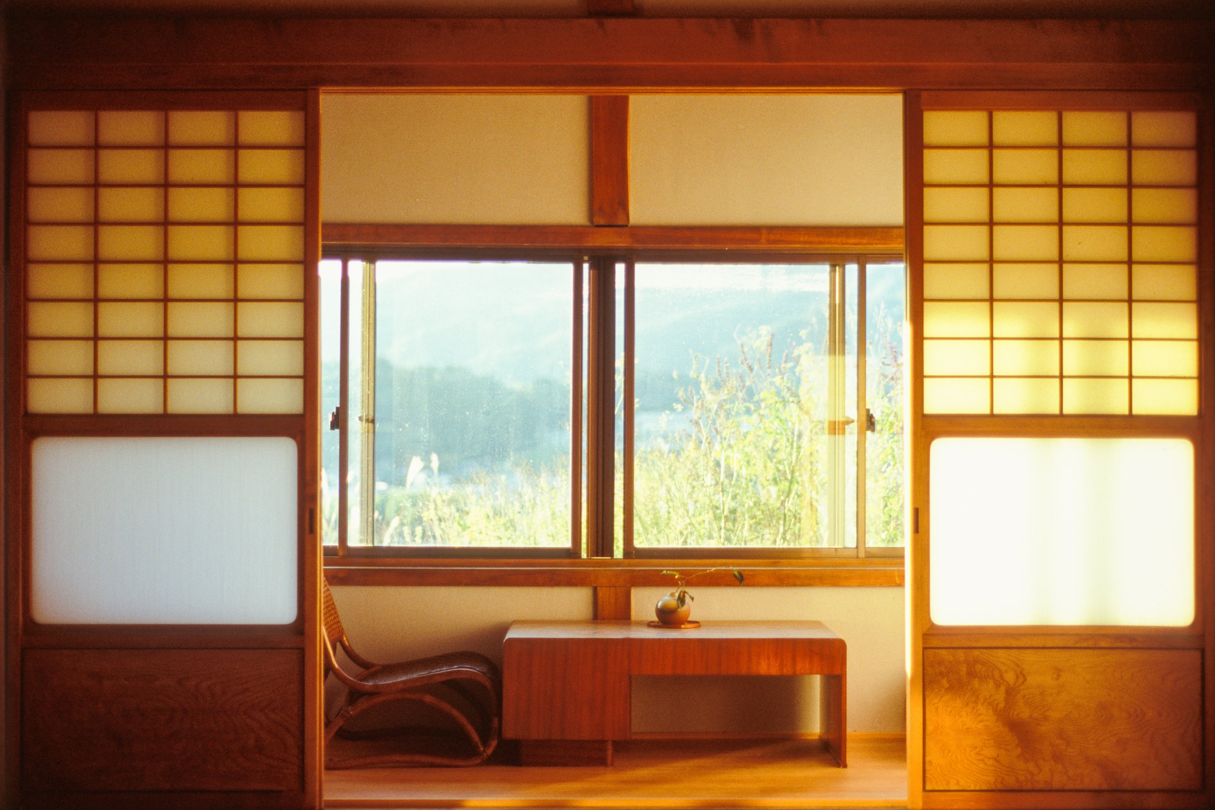 Wazuka Tea Plantation, Kyoto, Japan. 2024.