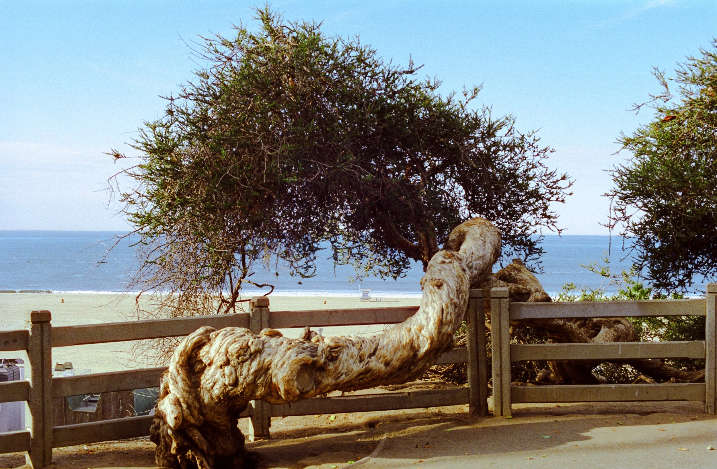 Santa Monica, CA. 2026.